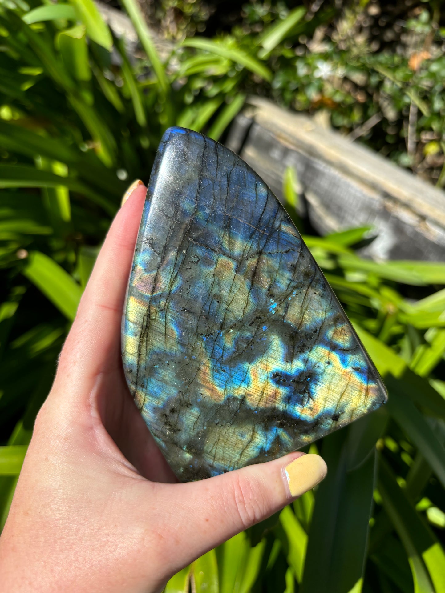 Labradorite Free Form B