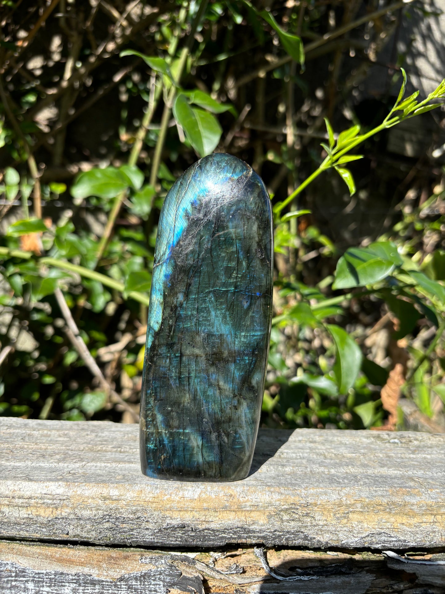 Labradorite Free Form D