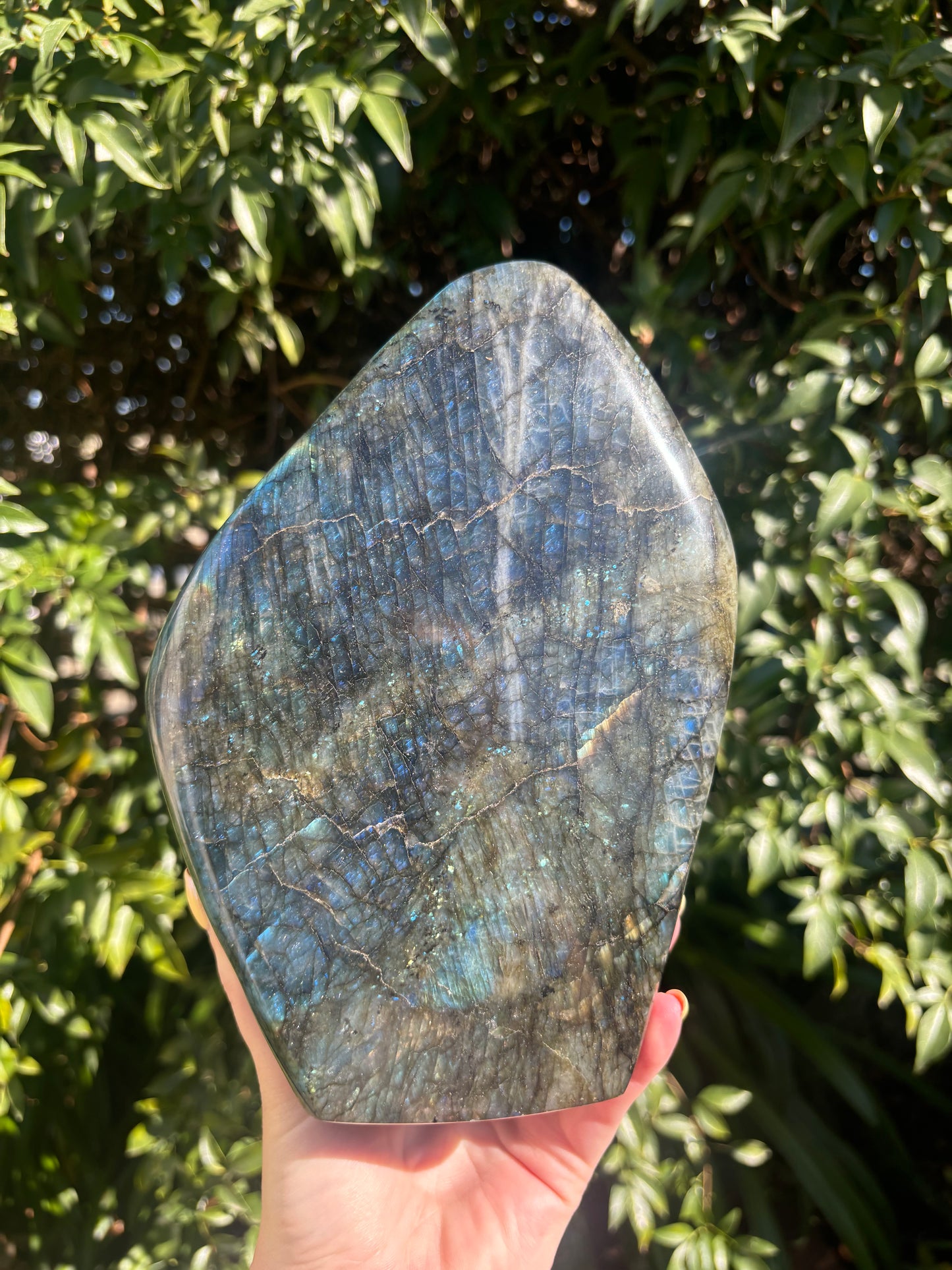Labradorite Free Form Large 3kgs