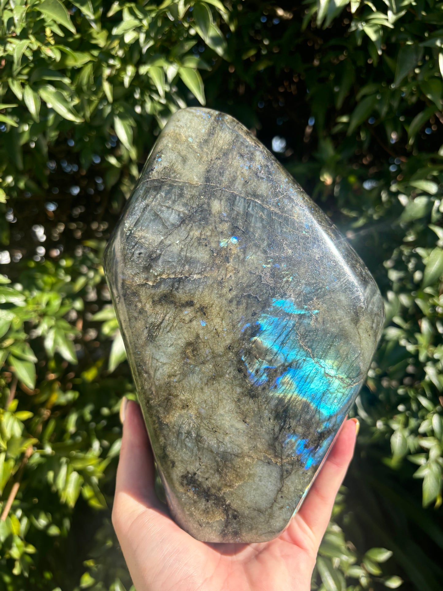 Labradorite Free Form Large 3kgs