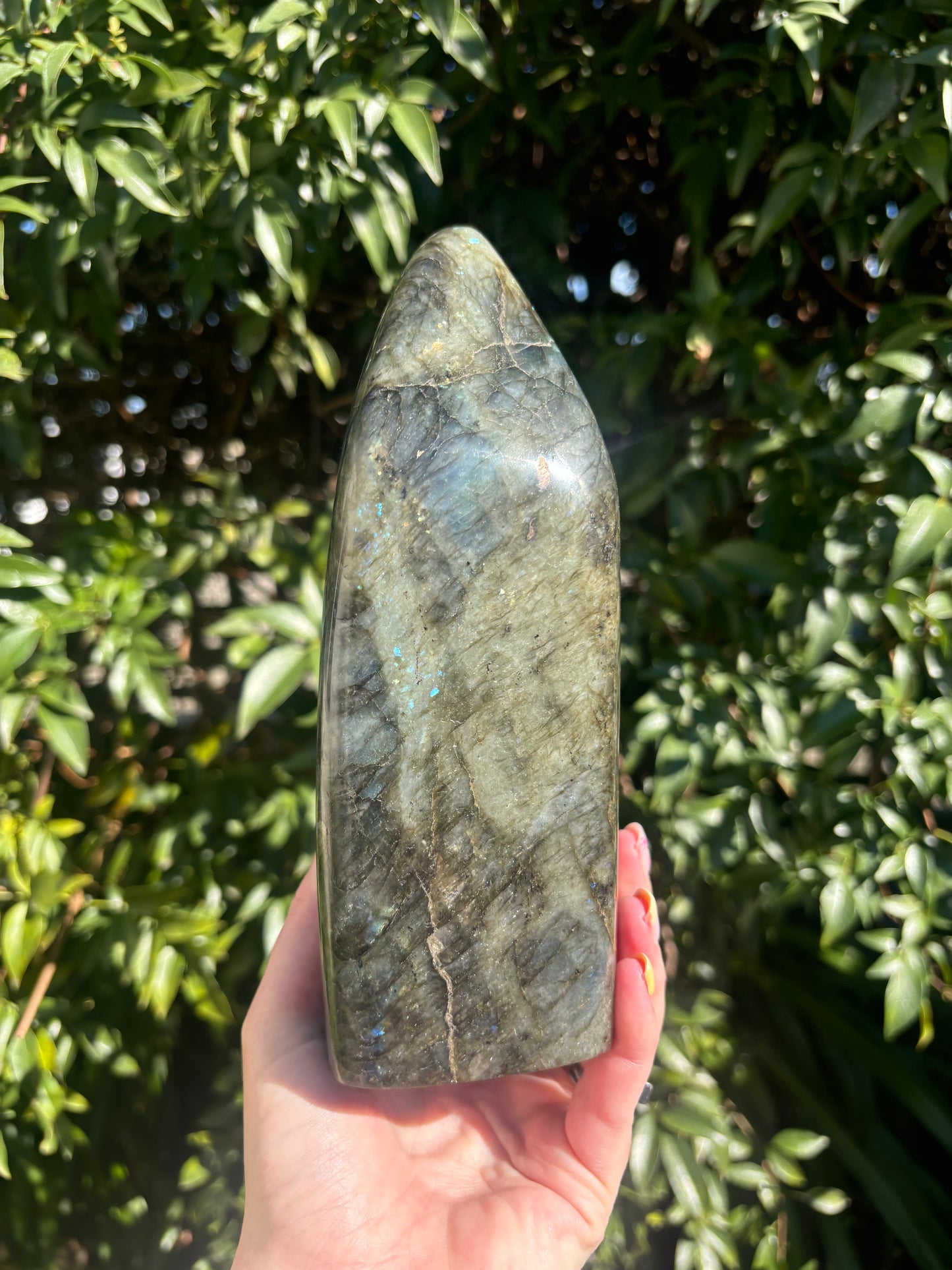 Labradorite Free Form Large 3kgs