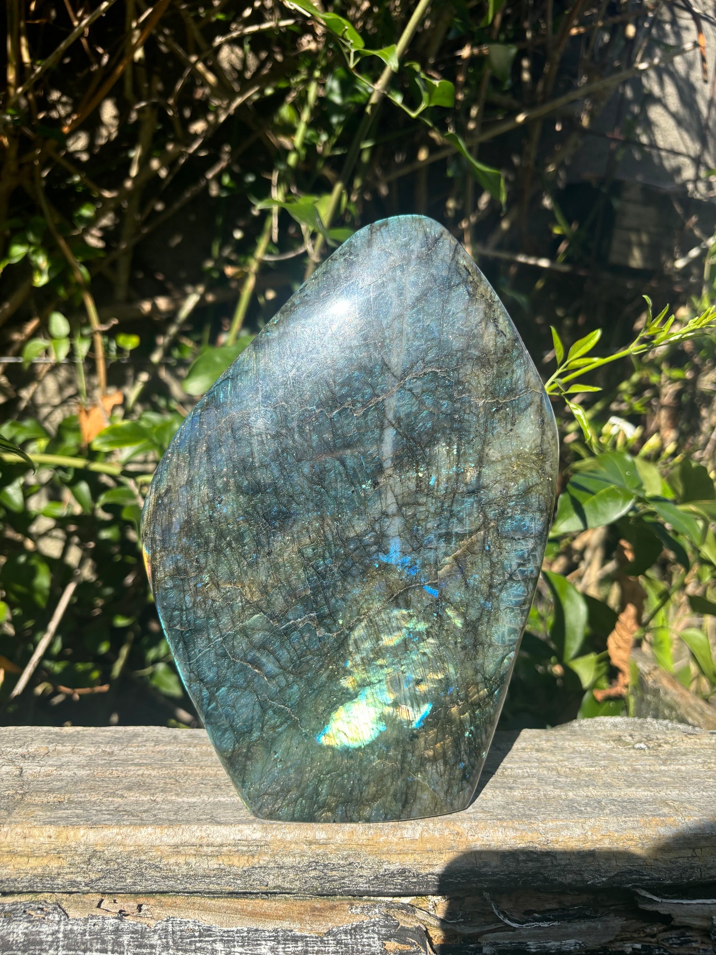 Labradorite Free Form Large 3kgs