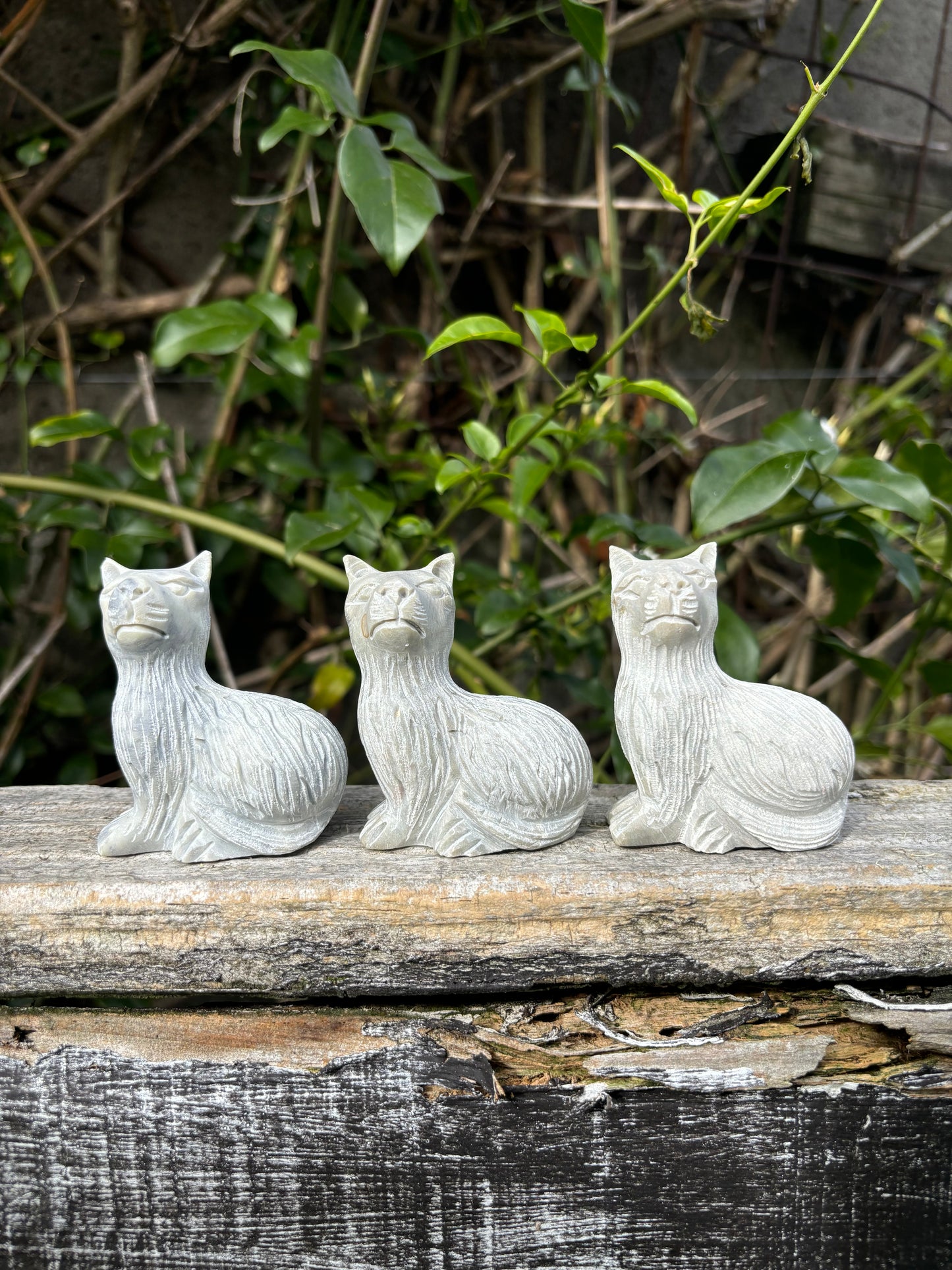 Soapstone White Cat Large