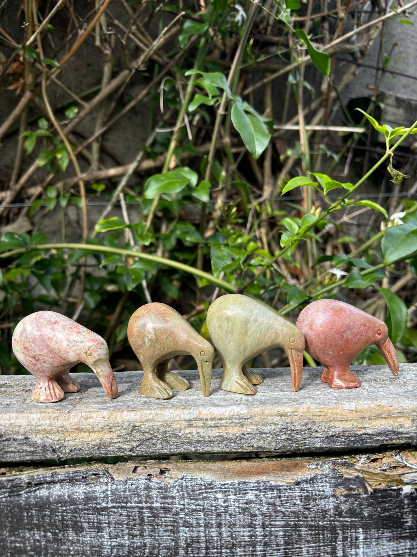 Kiwi Medium Soapstone