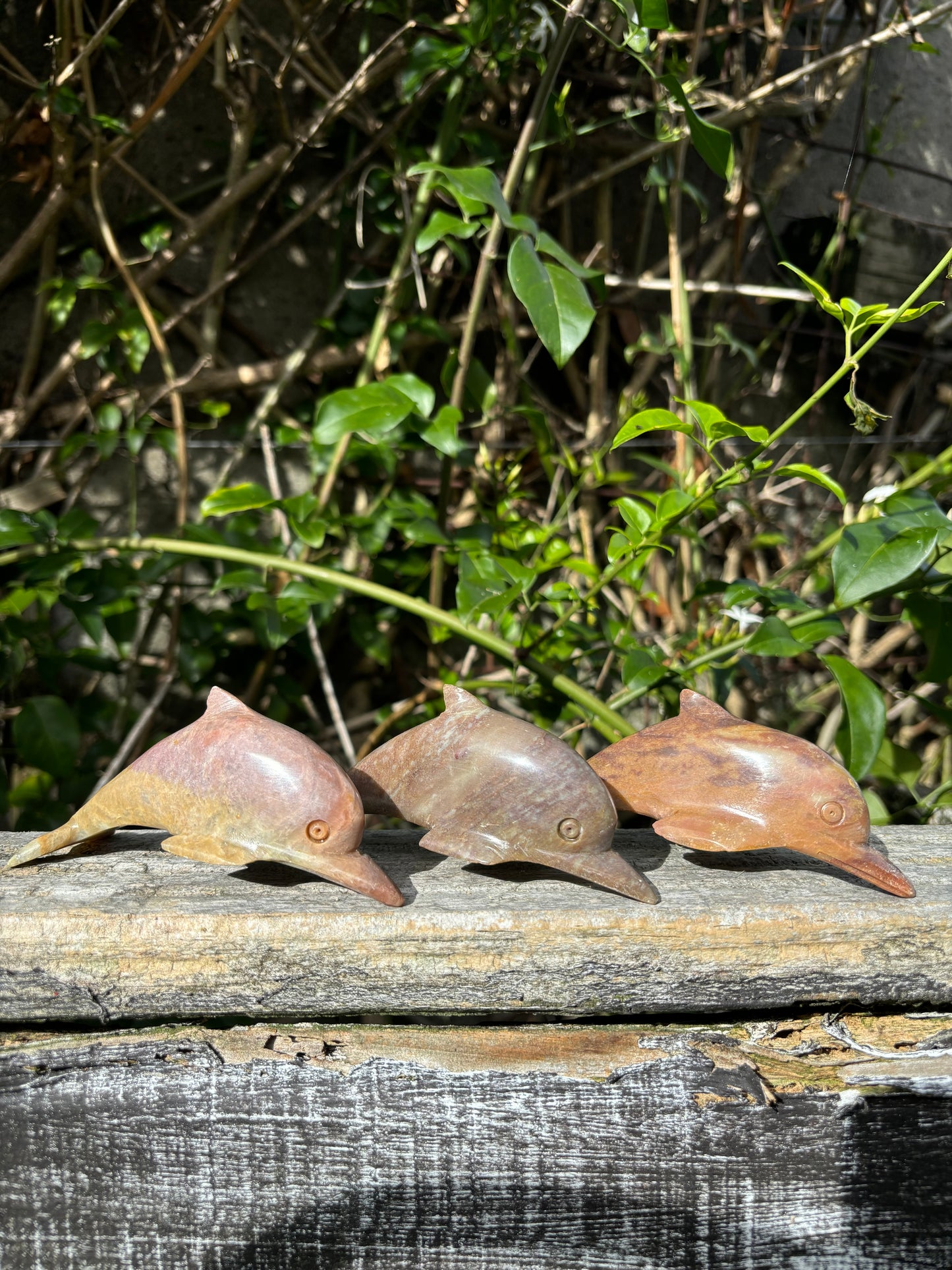 Dolphin Soapstone Large