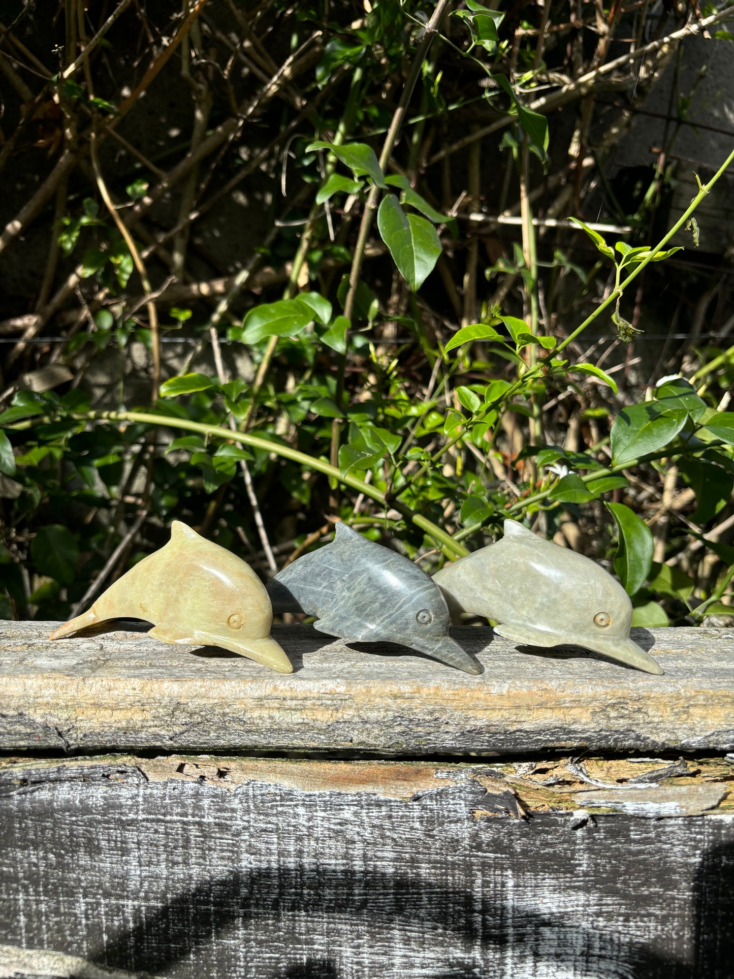 Dolphin Soapstone Large