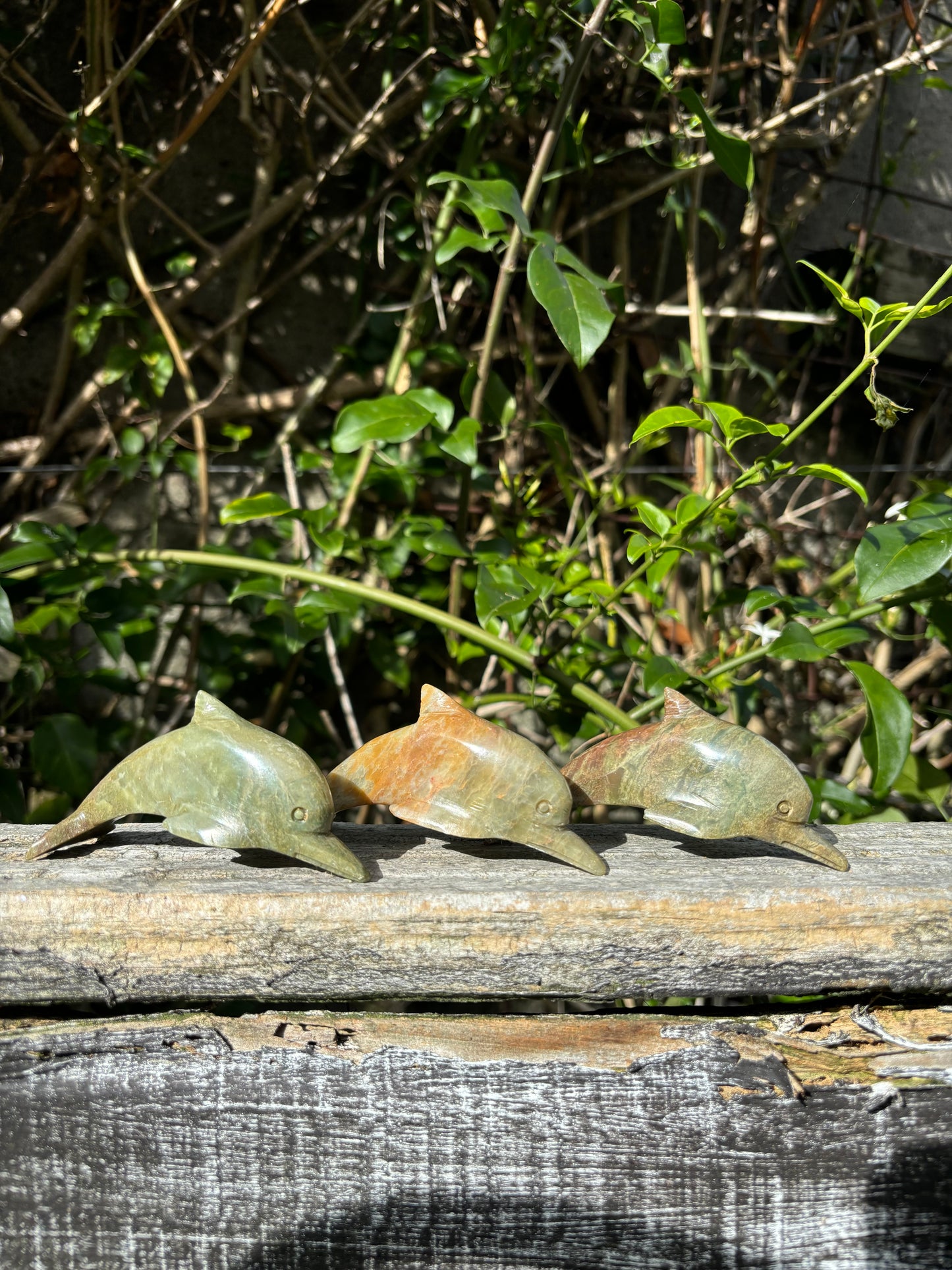 Dolphin Soapstone Medium