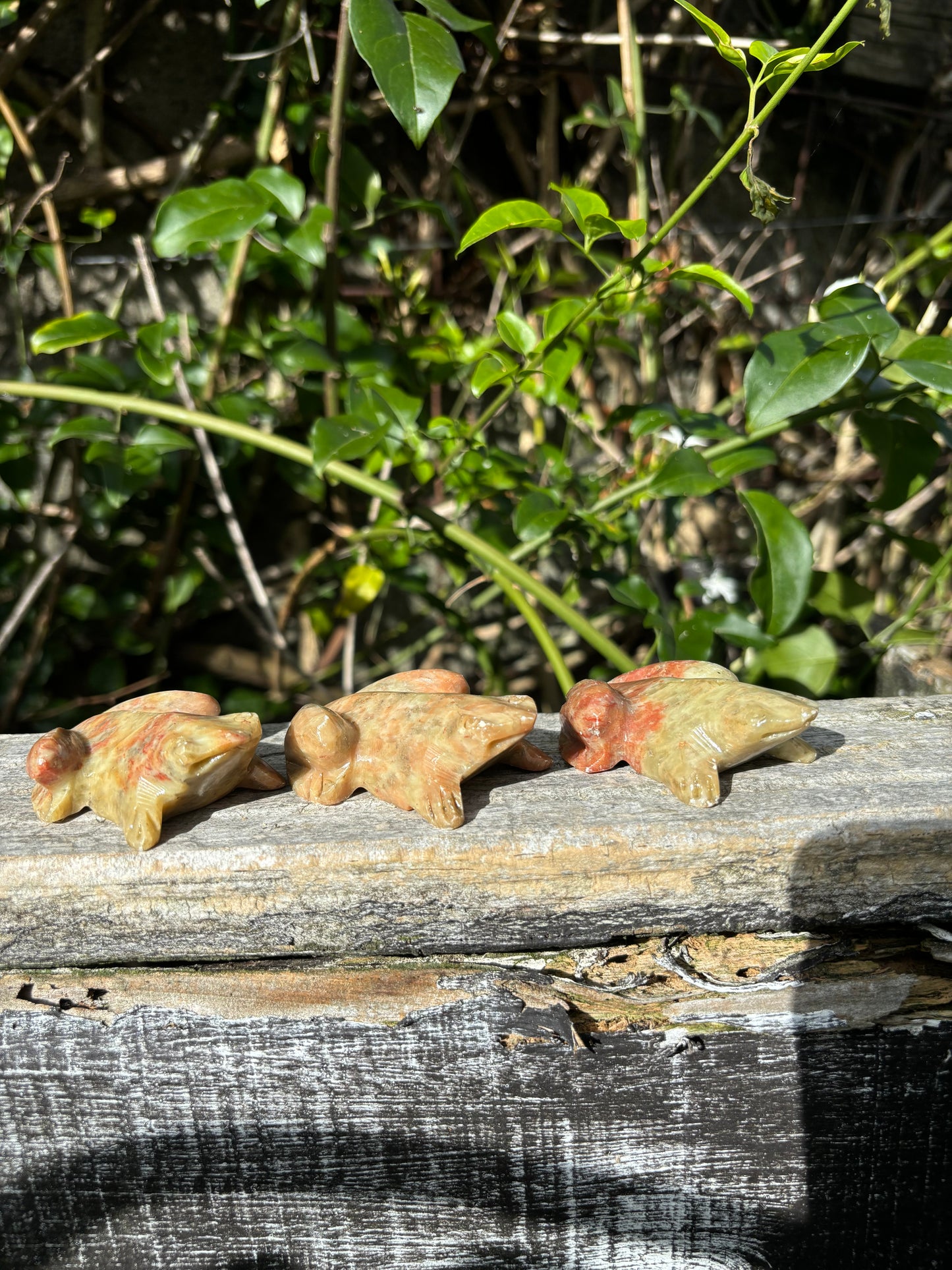Soapstone Frog Large