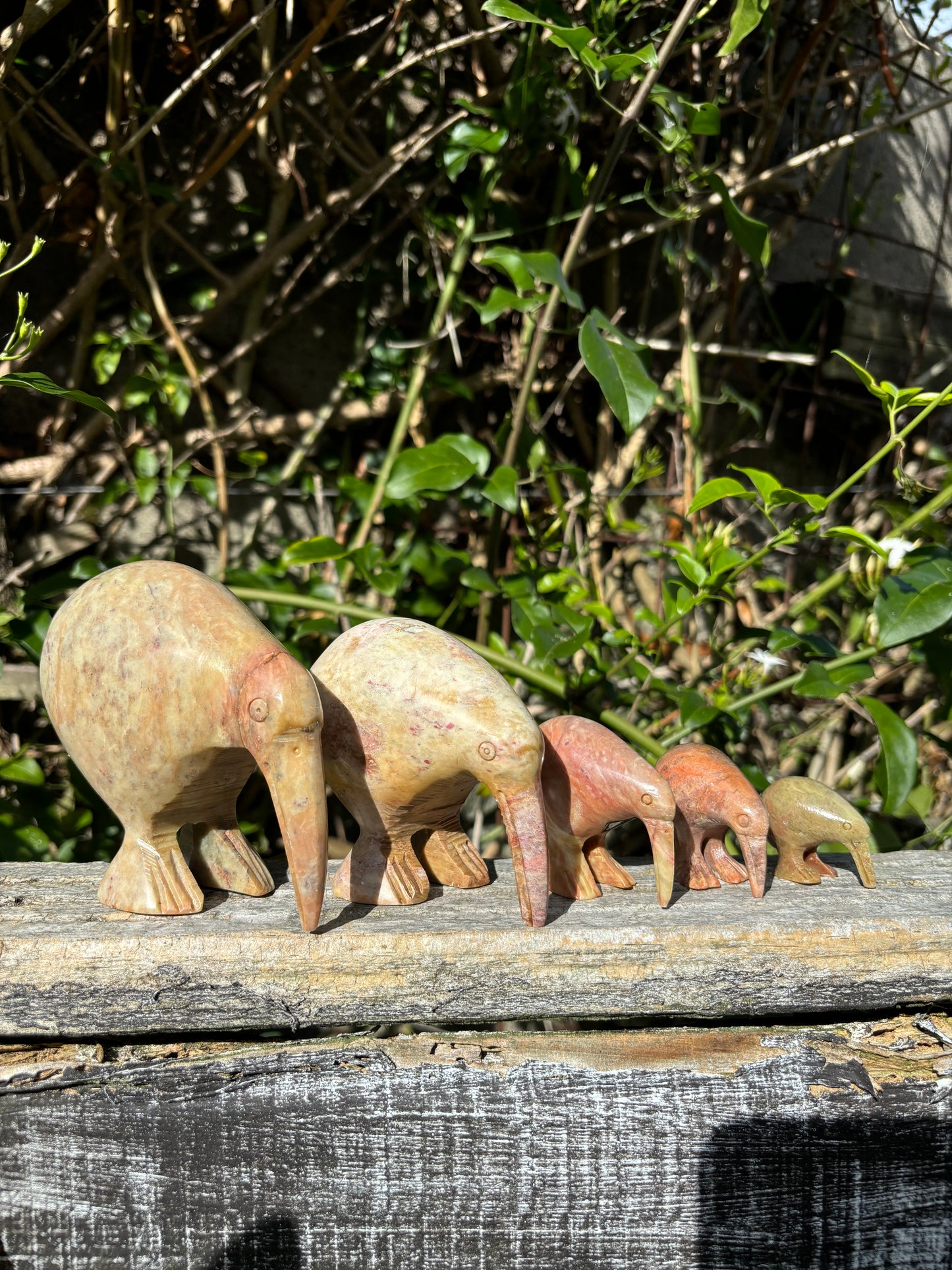 Kiwi Soapstone Family A