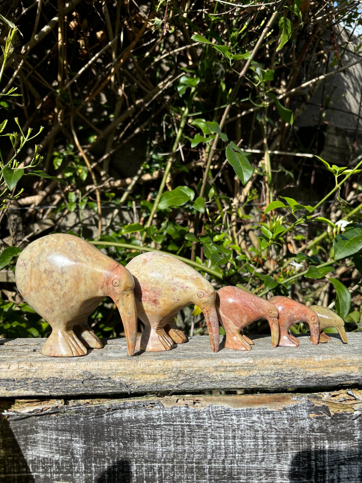 Kiwi Soapstone Family A