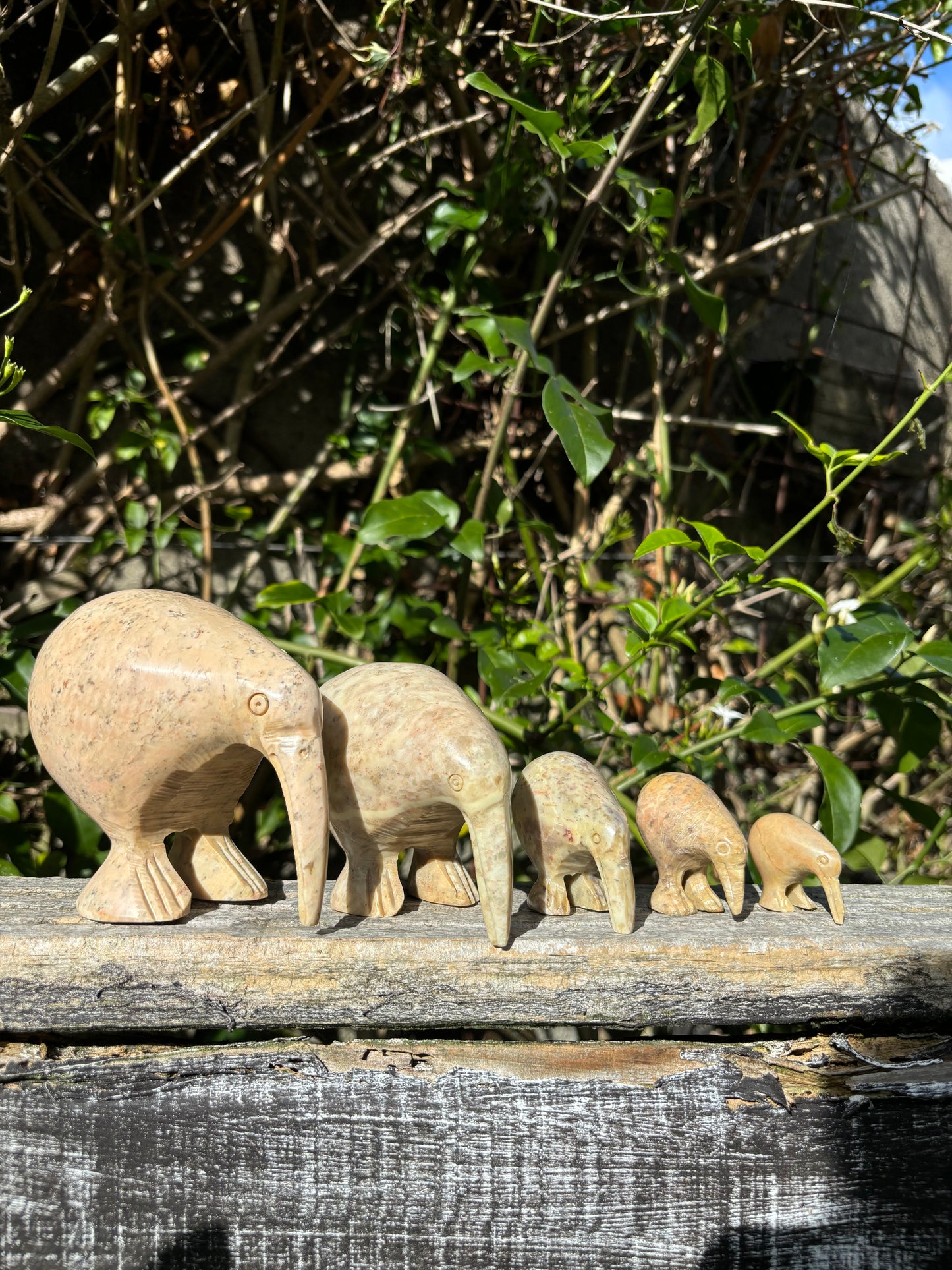 Kiwi Soapstone Family B