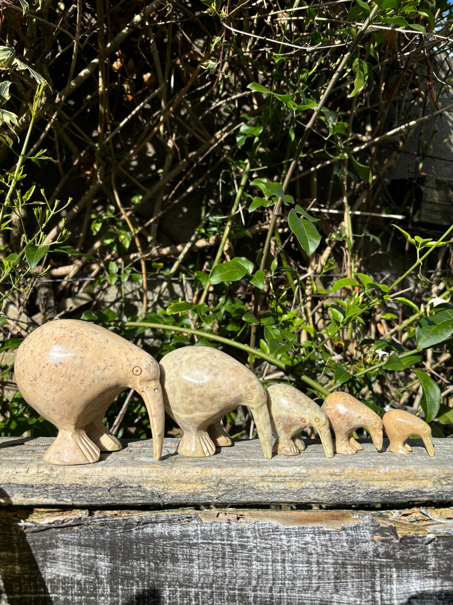 Kiwi Soapstone Family B
