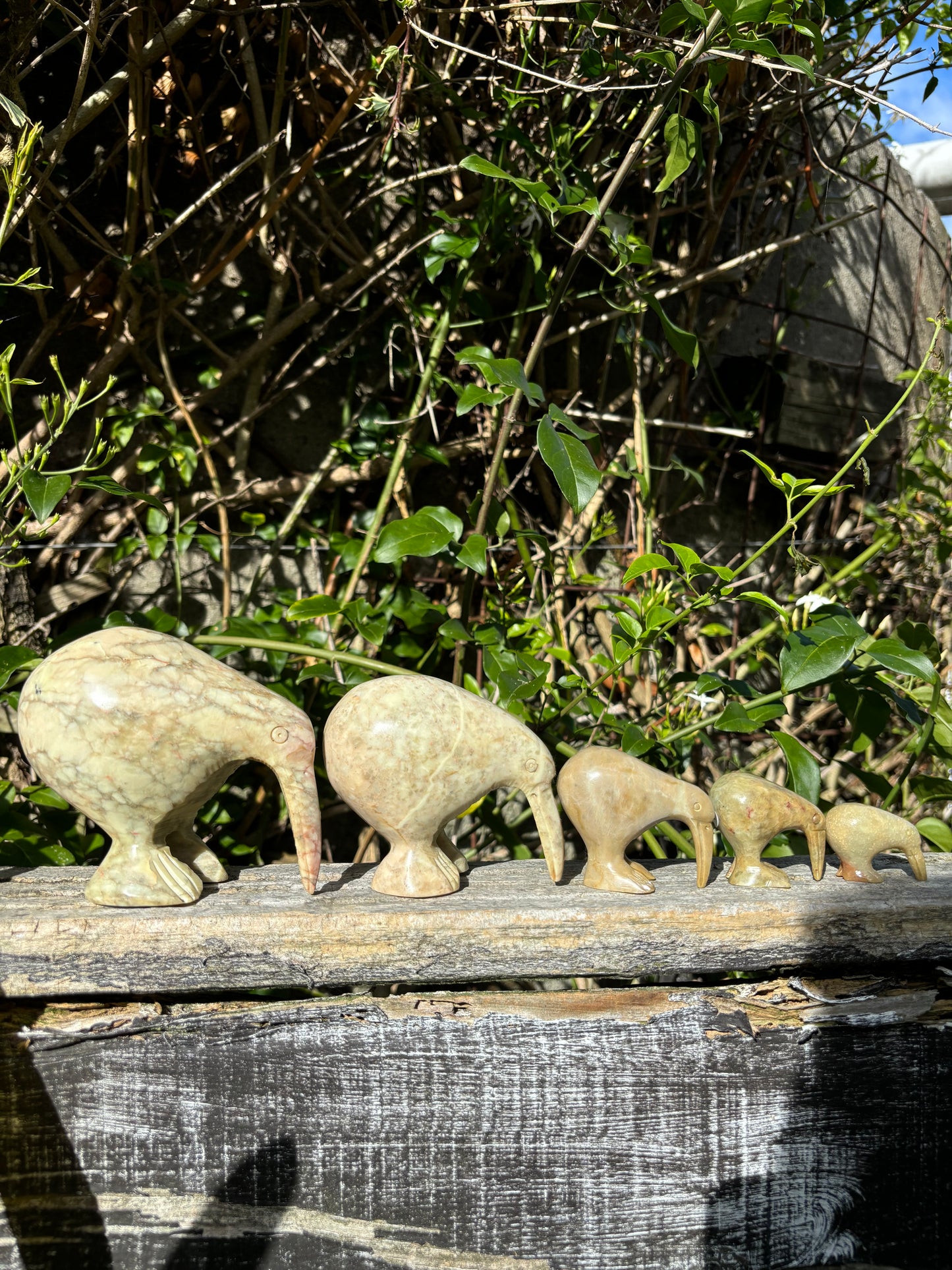 Kiwi Soapstone Family C