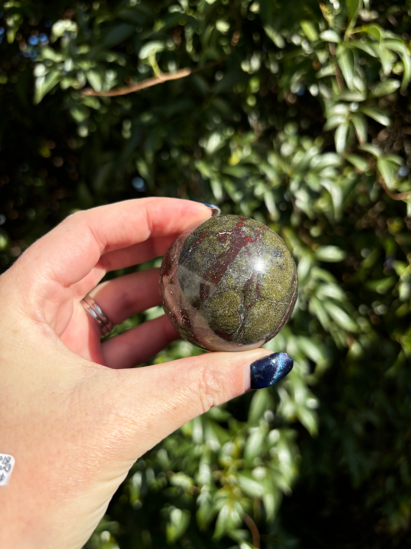 Dragons Blood Sphere F