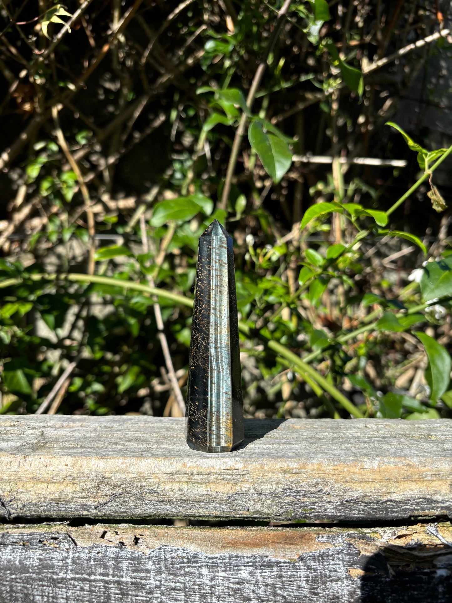Blue Tigers Eye Point B