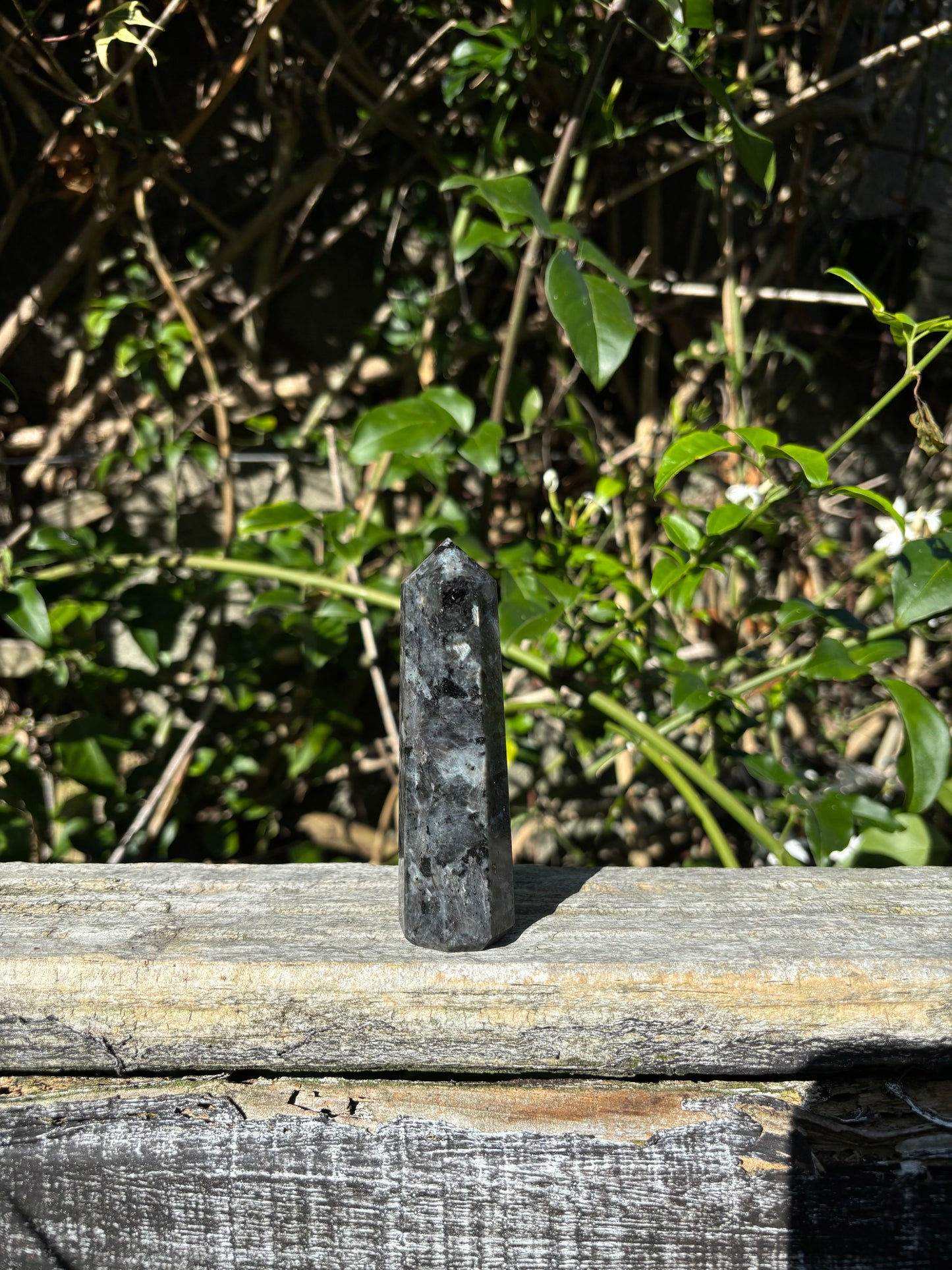 Larvikite Point C