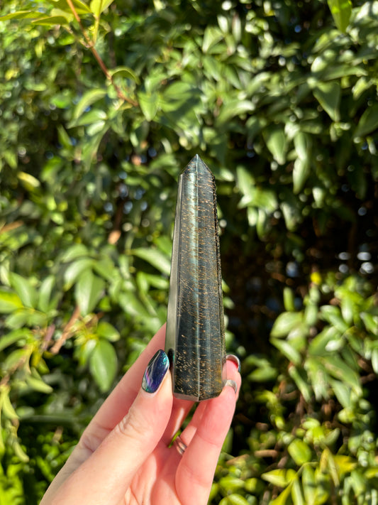 Blue Tigers Eye Point B