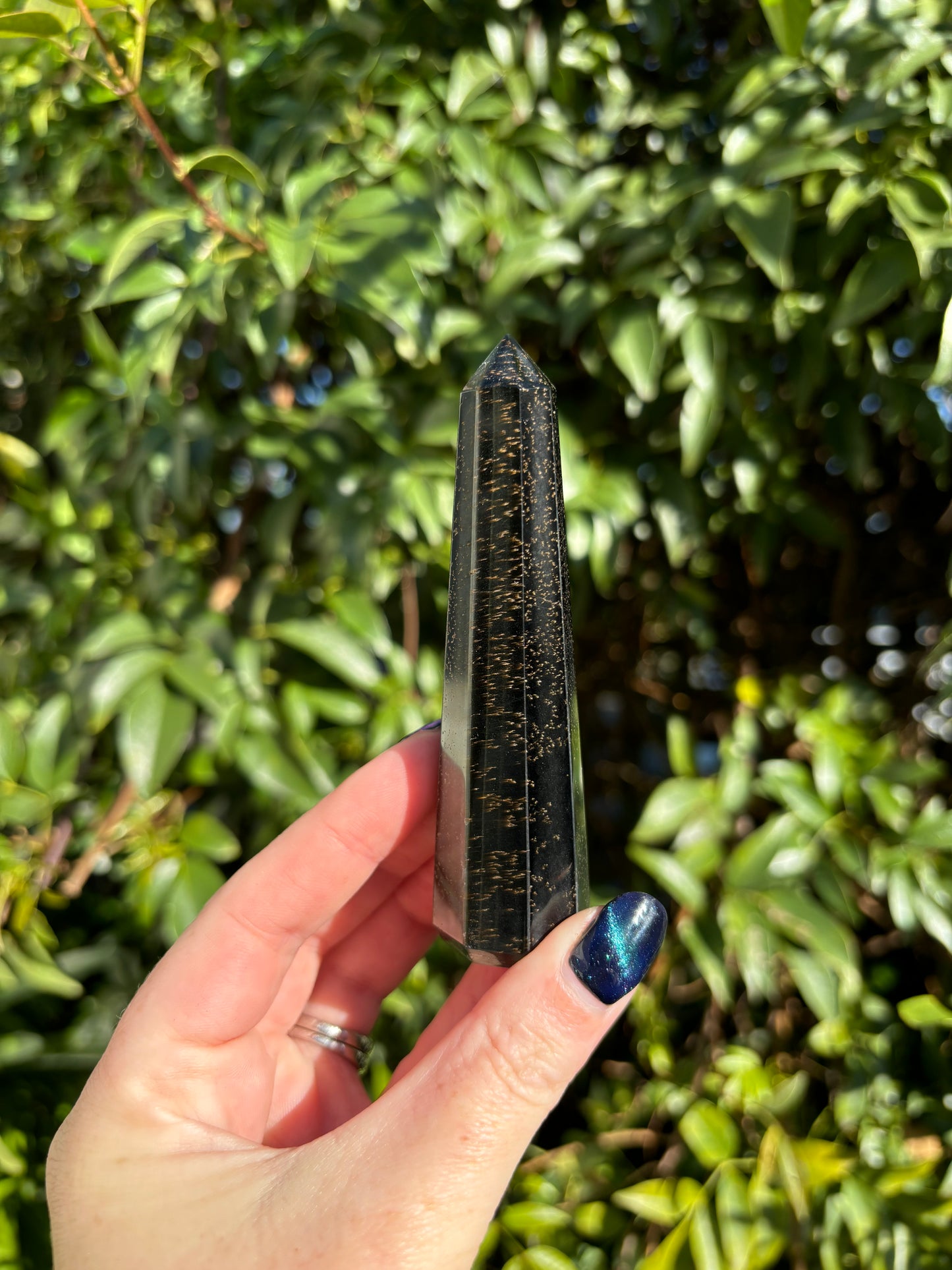 Blue Tigers Eye Point B