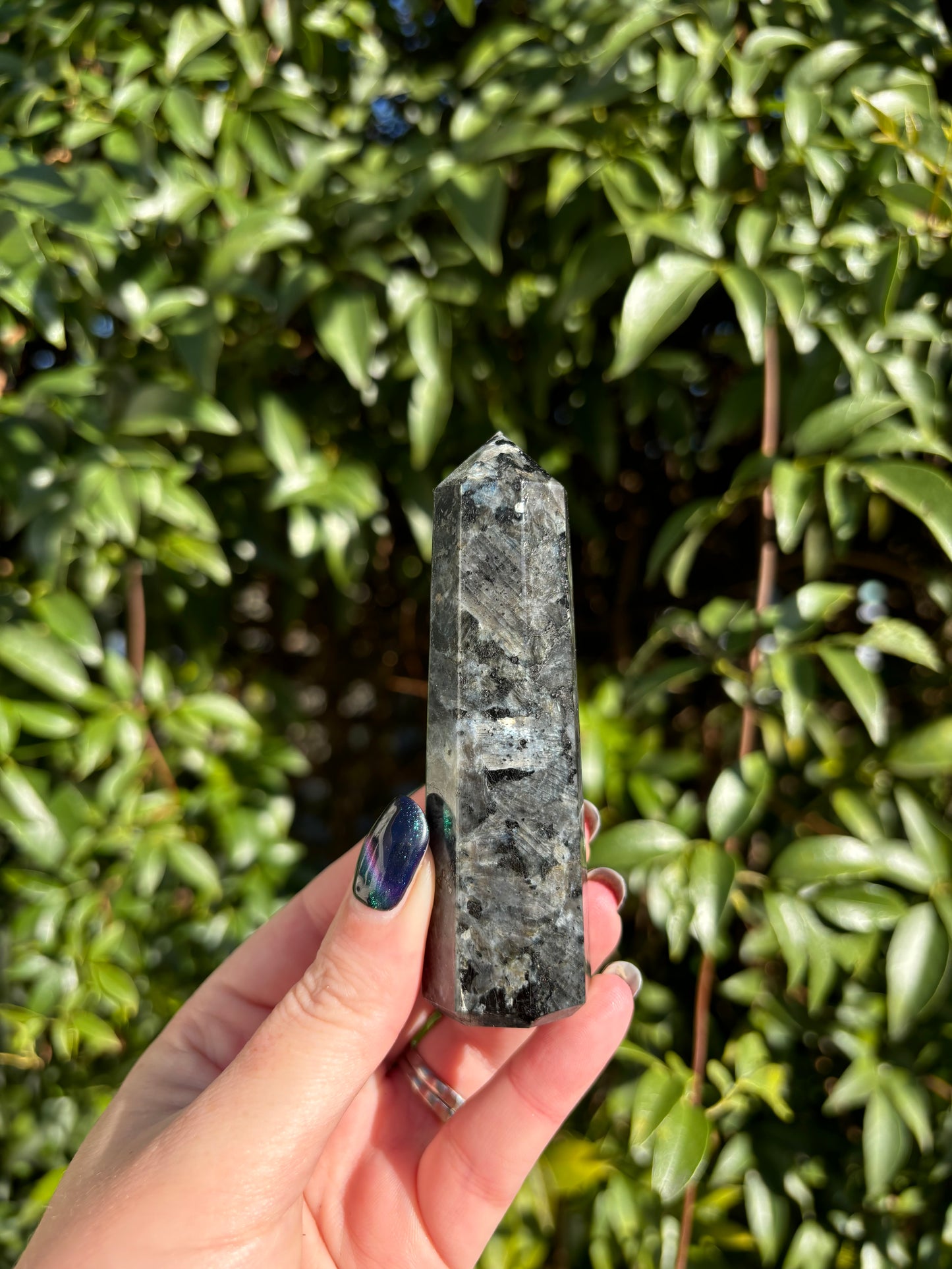 Larvikite Point C
