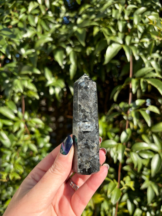 Larvikite Point C