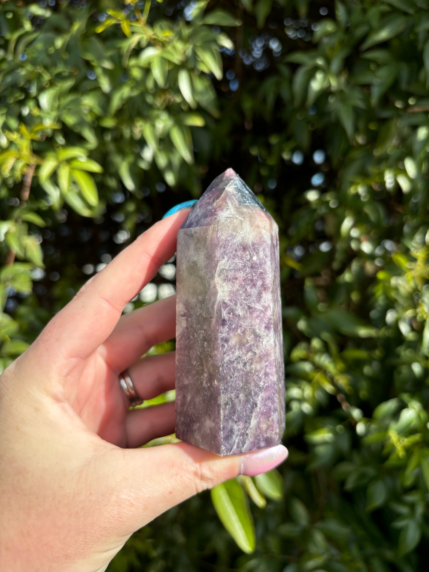 Lepidolite Mixed Point A