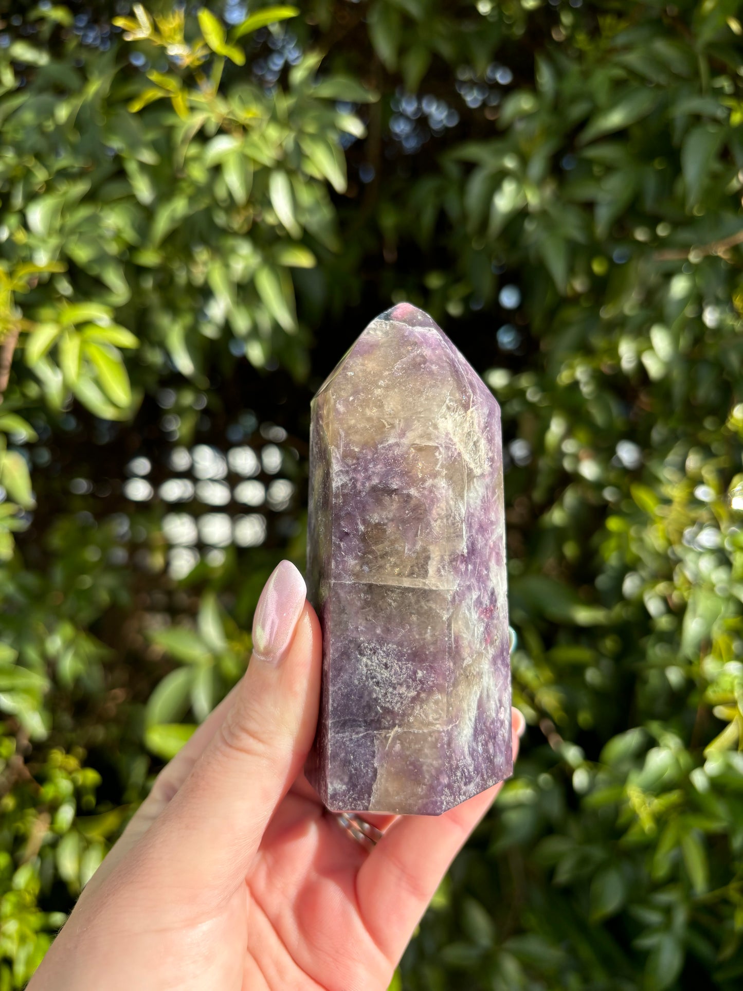 Lepidolite Mixed Point A