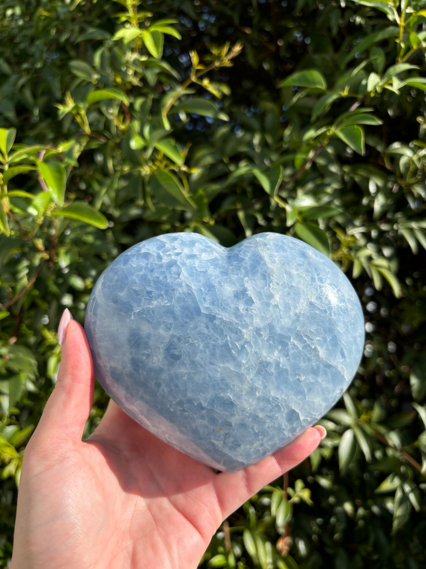 Blue Calcite Heart Large 1.2kgs