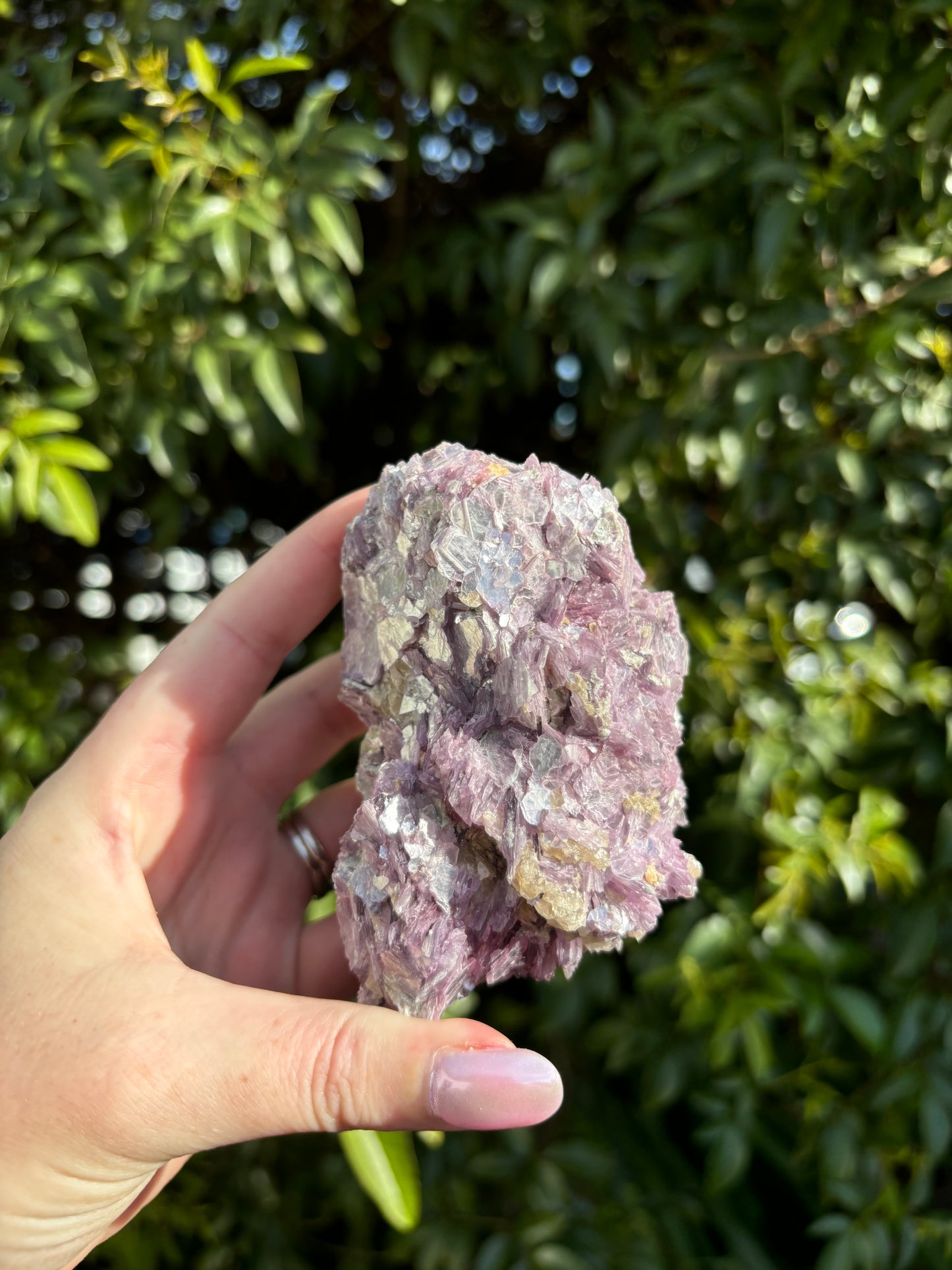 Lepidolite Rough Cluster A