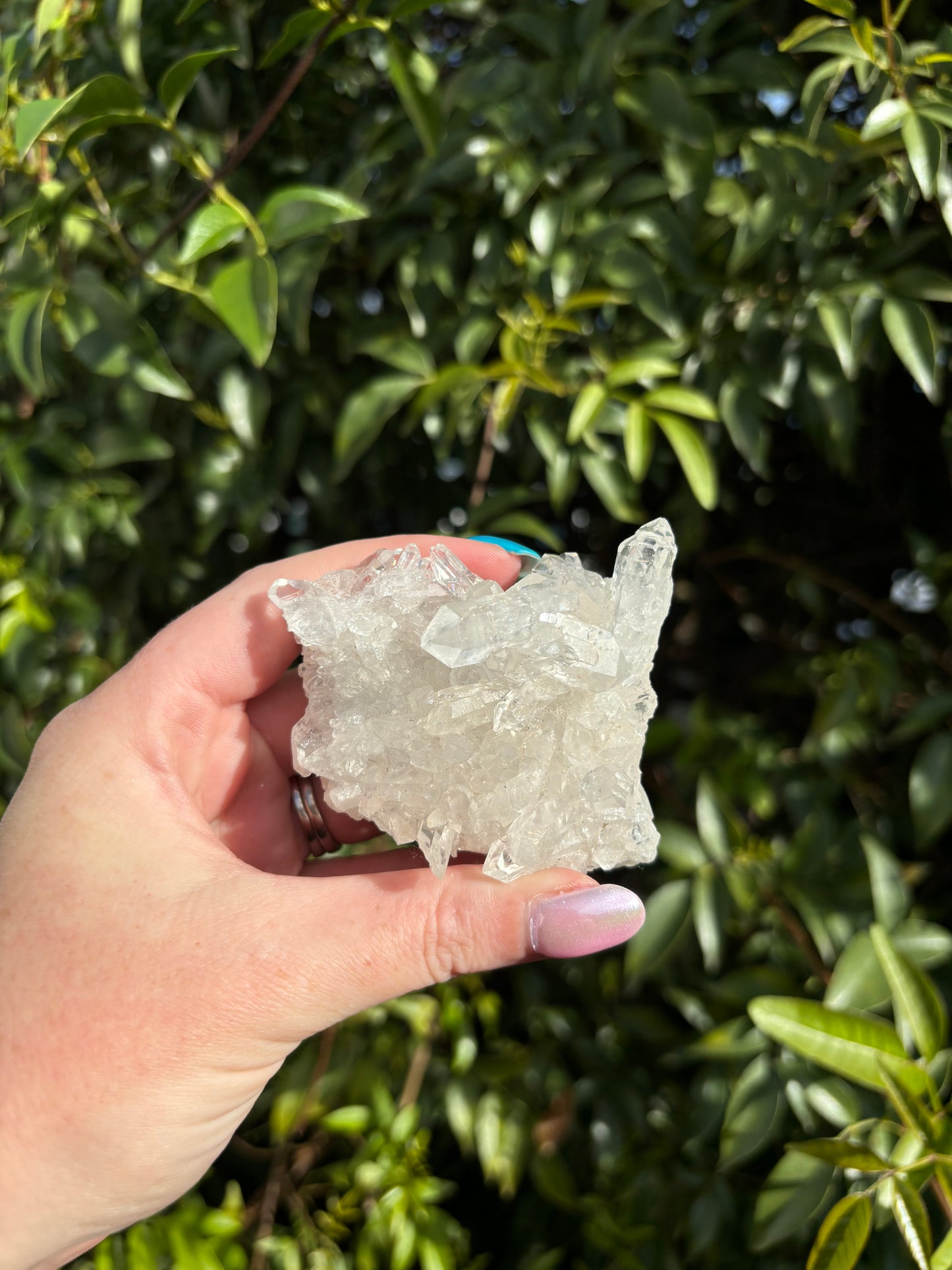 Clear Quartz Cluster C