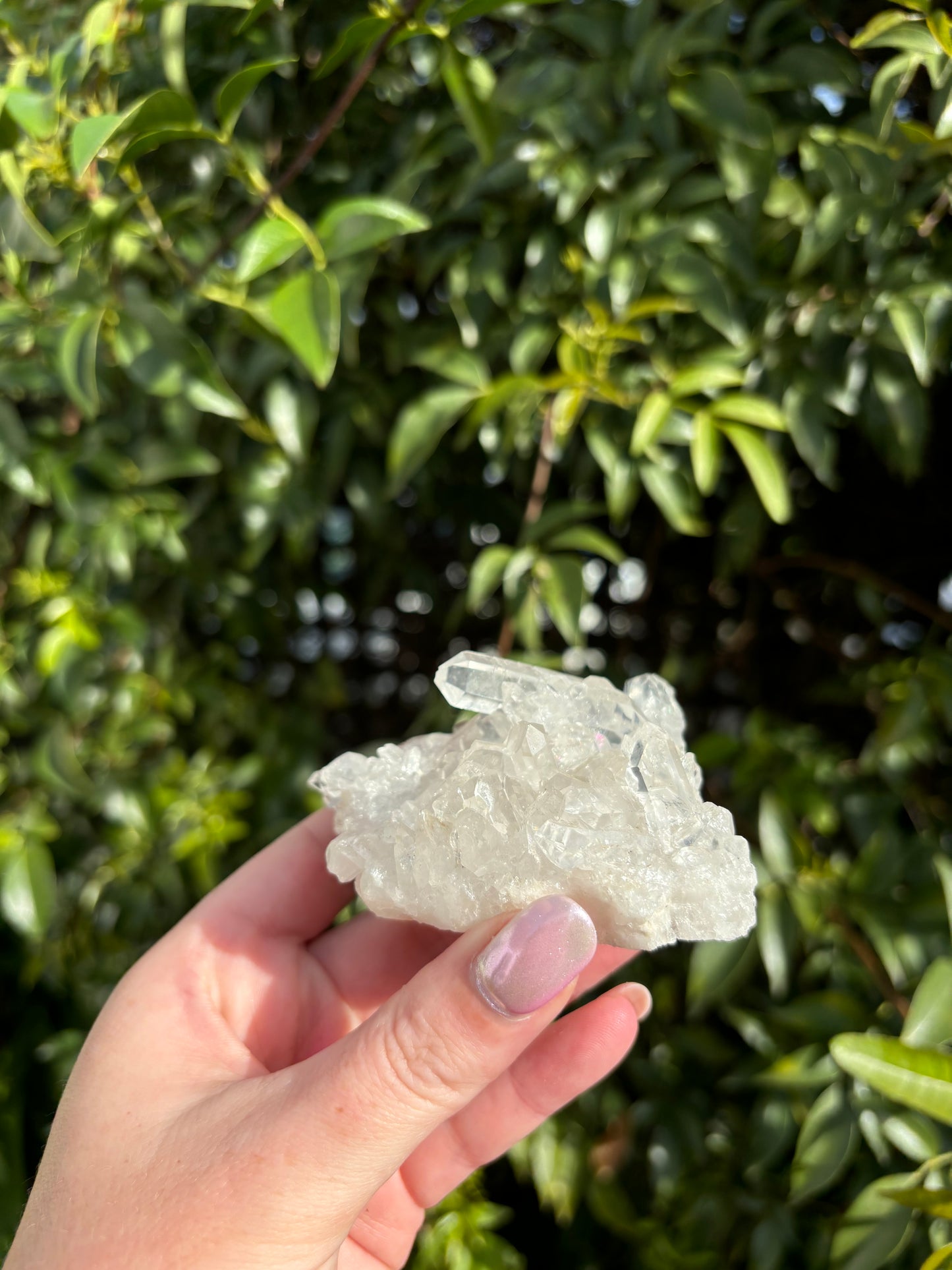Clear Quartz Cluster C