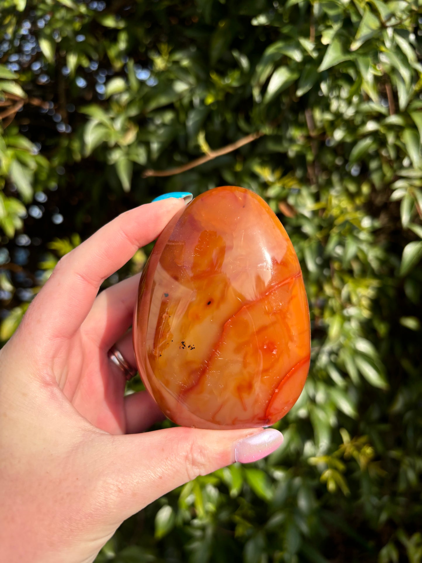 Carnelian Free Form D