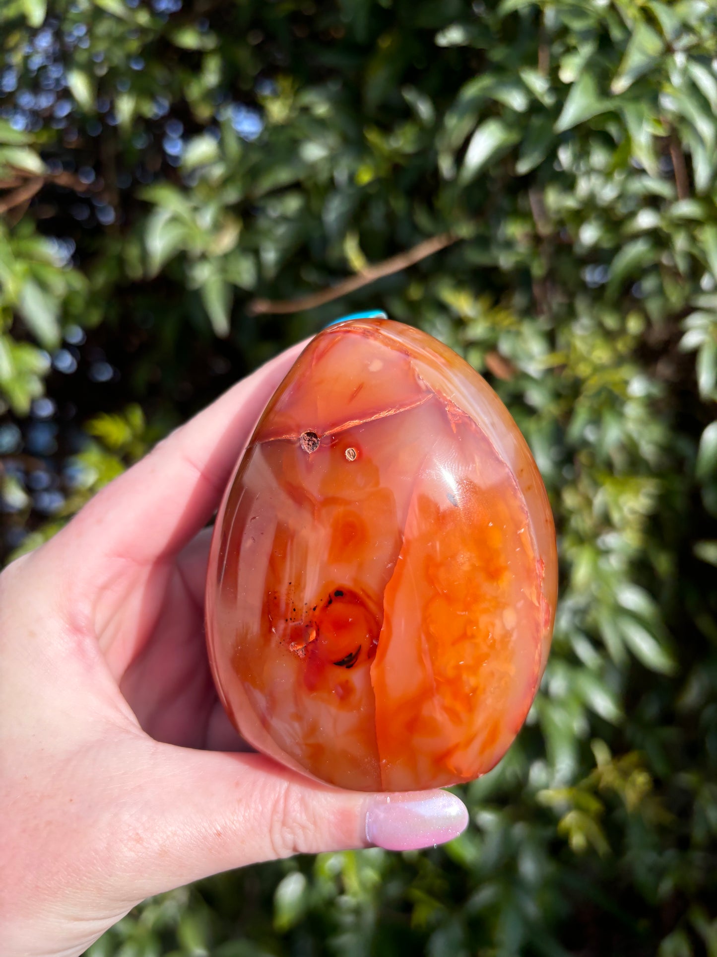 Carnelian Free Form D