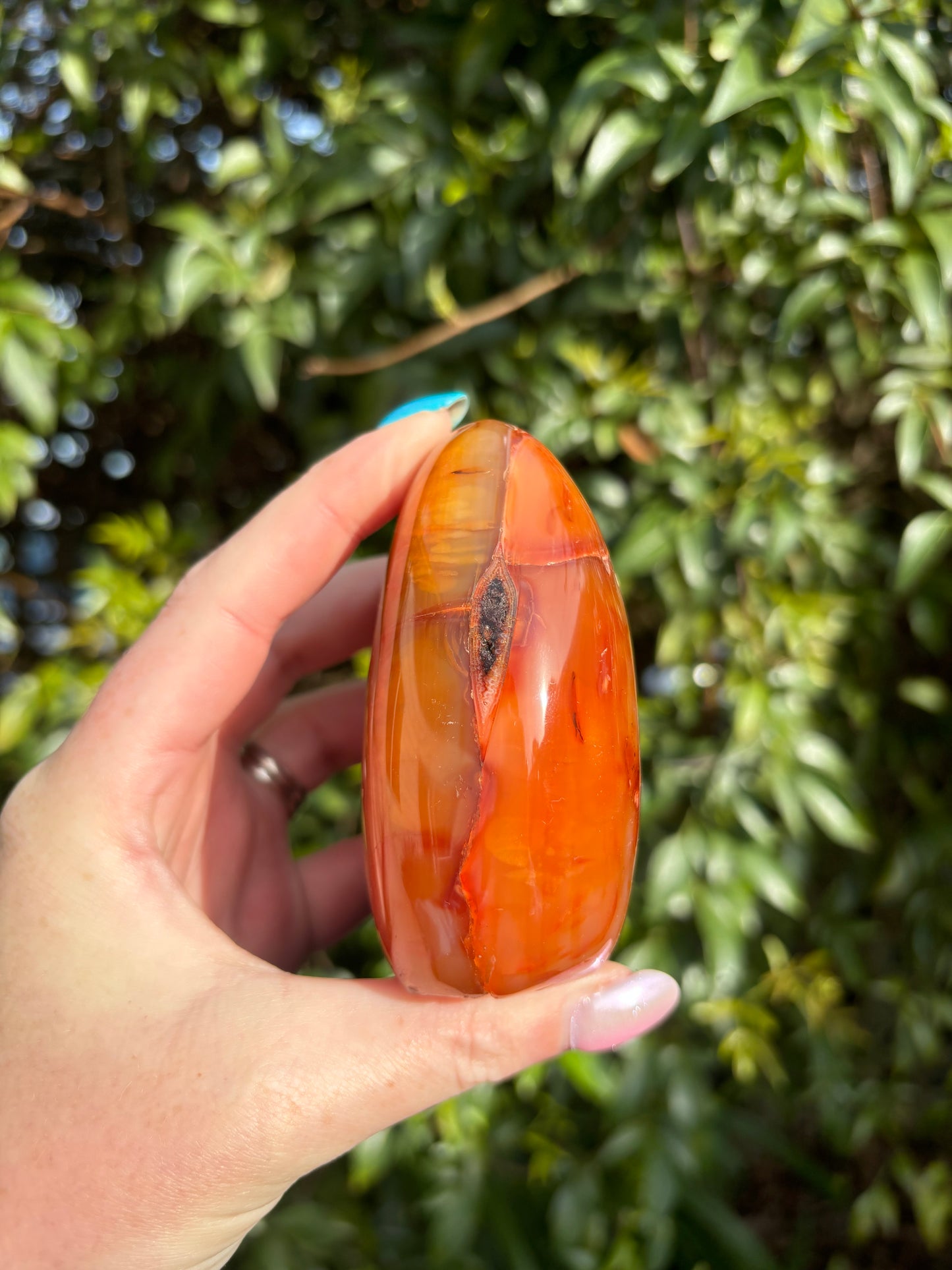 Carnelian Free Form D
