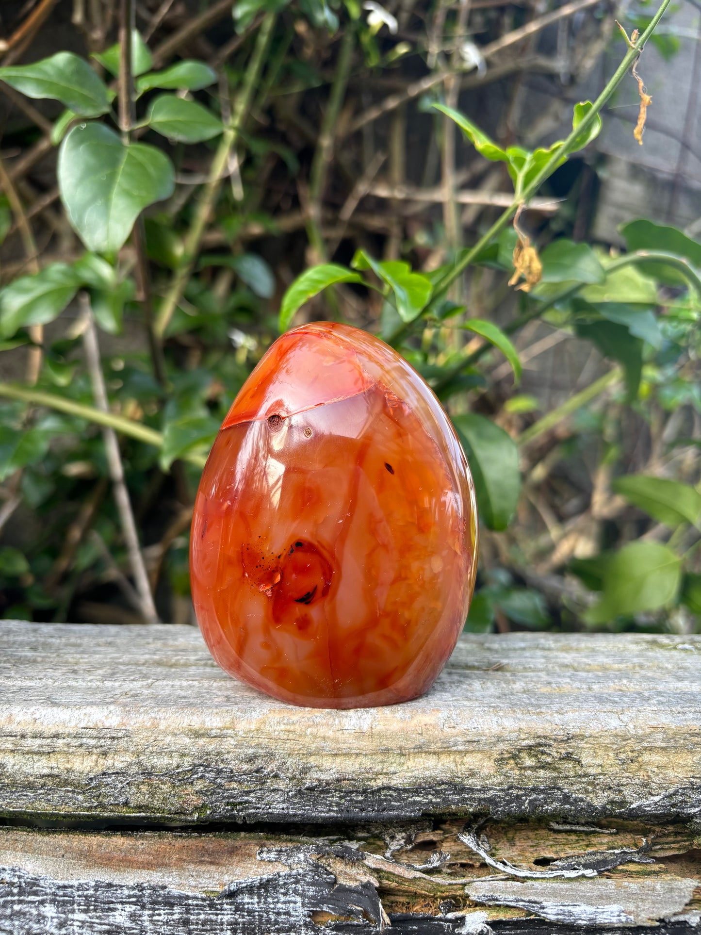 Carnelian Free Form D
