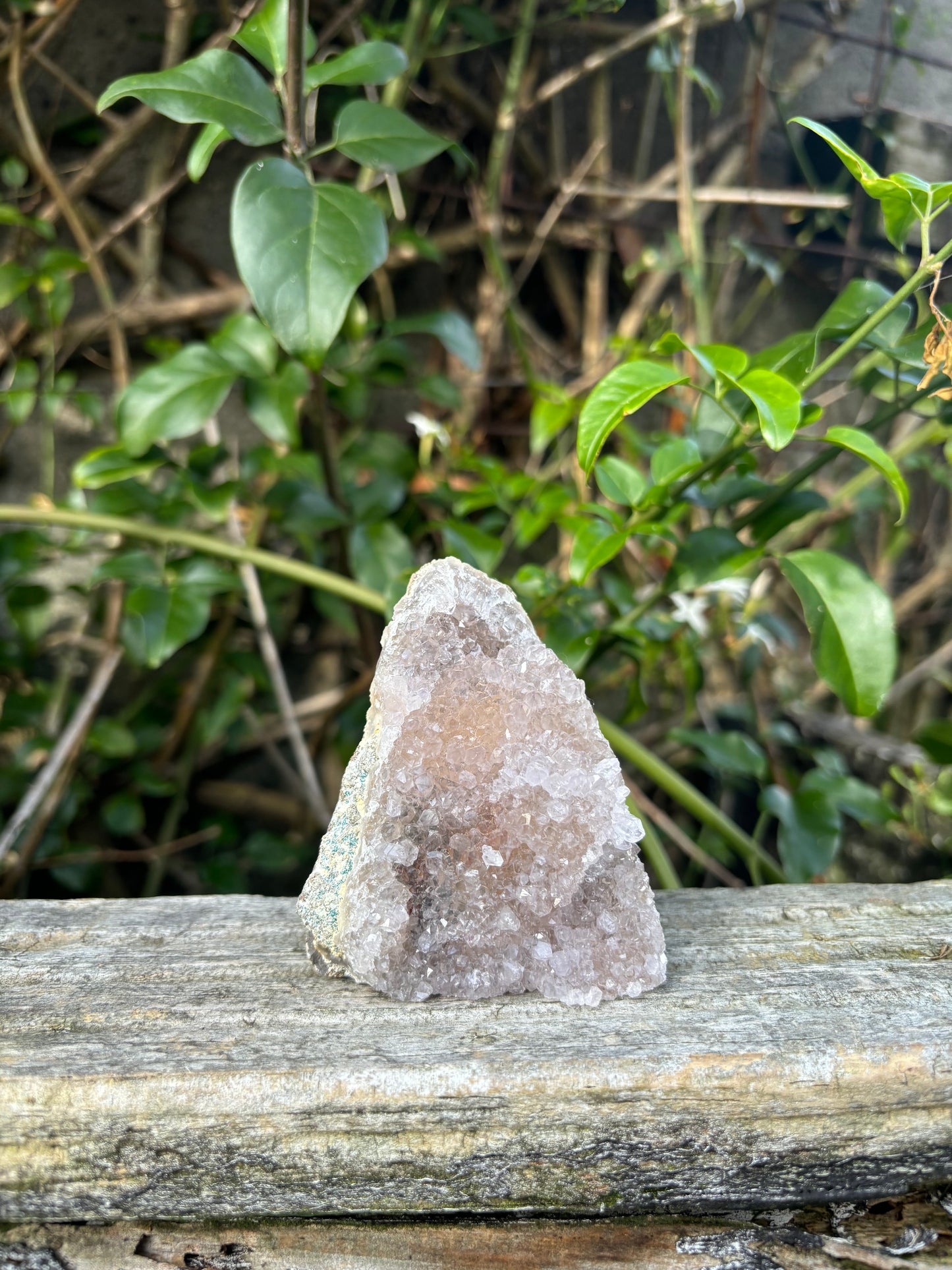 Amethyst Flat Base F