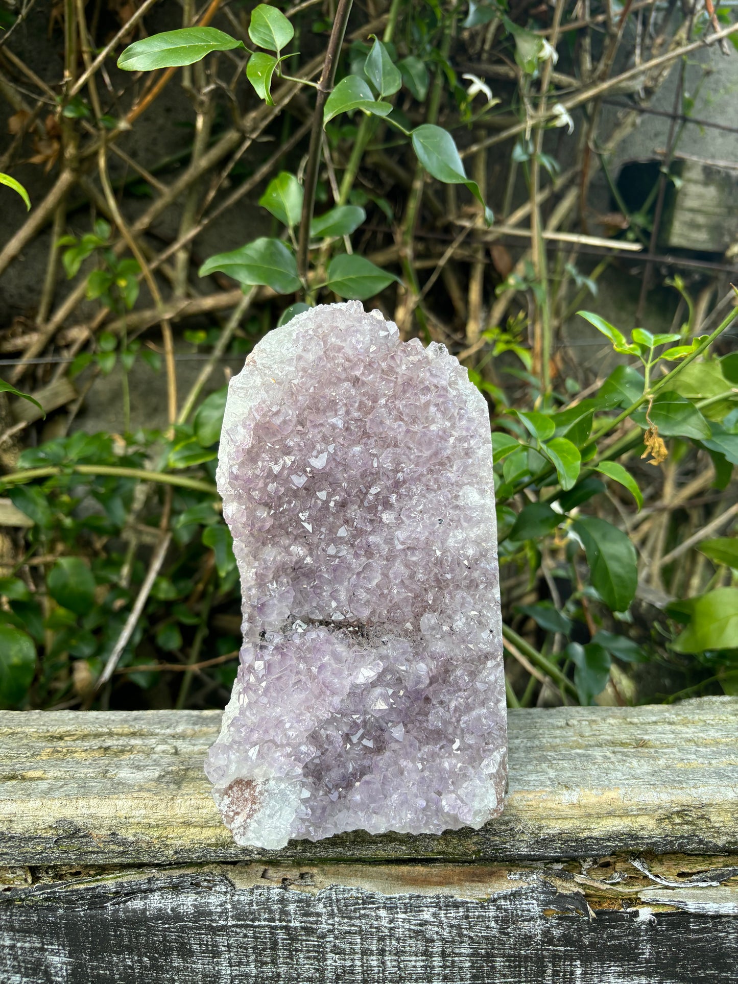 Amethyst Flat Base E 2.2kgs