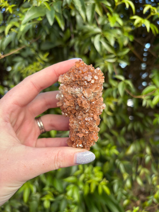 Aragonite Sputnik Cluster C