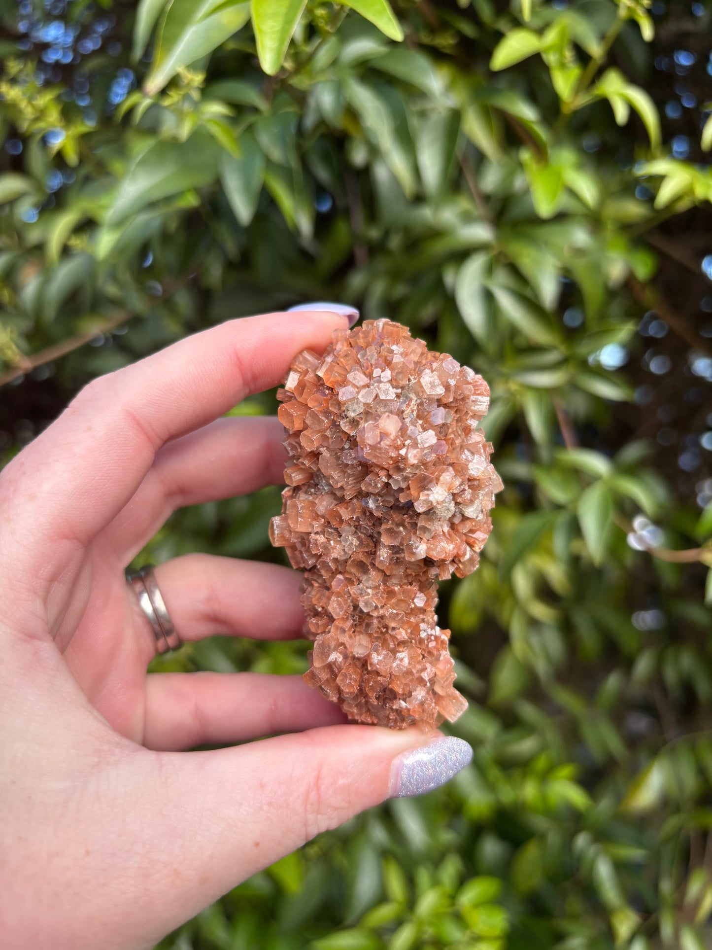 Aragonite Sputnik Cluster C