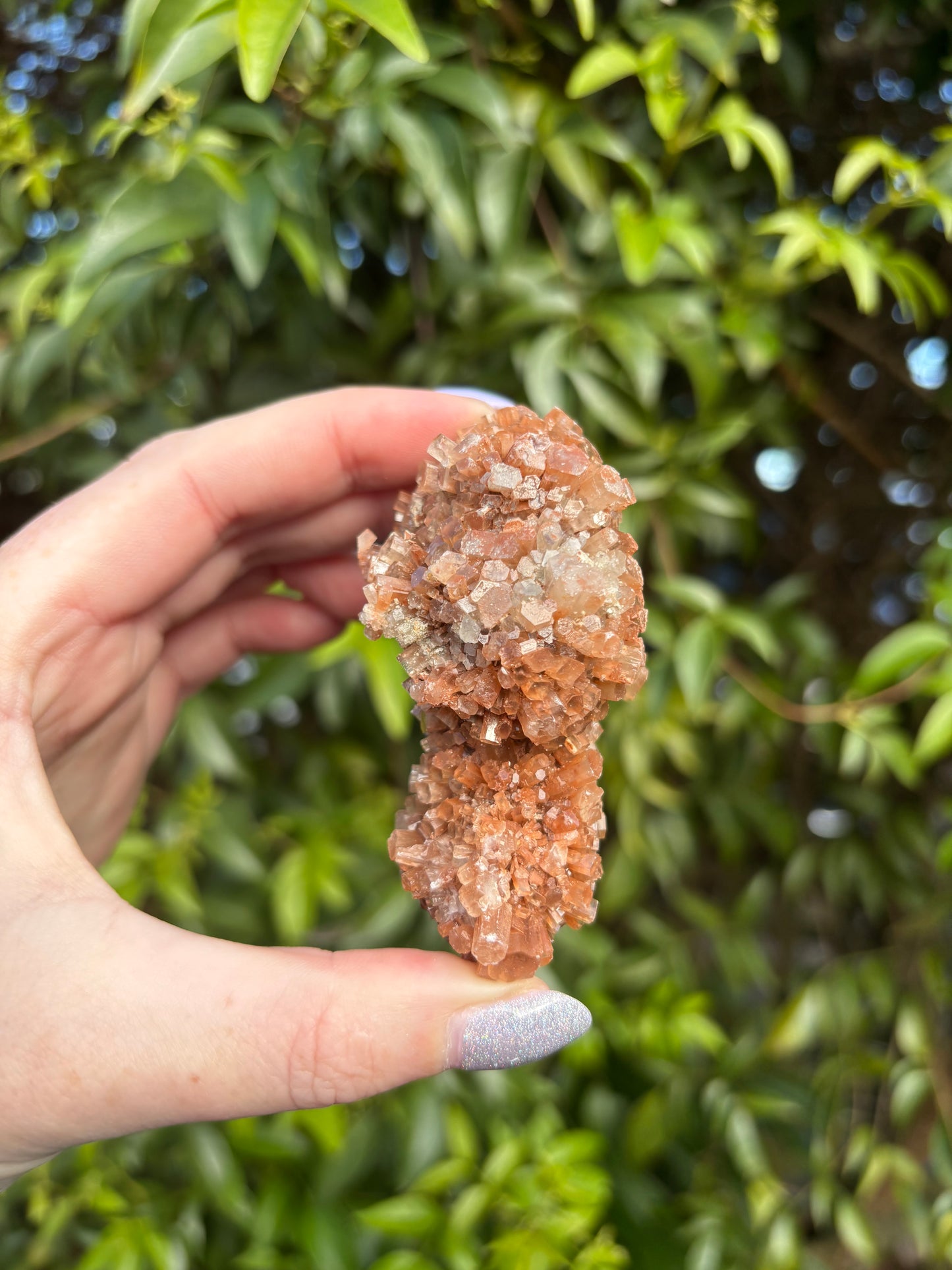 Aragonite Sputnik Cluster C