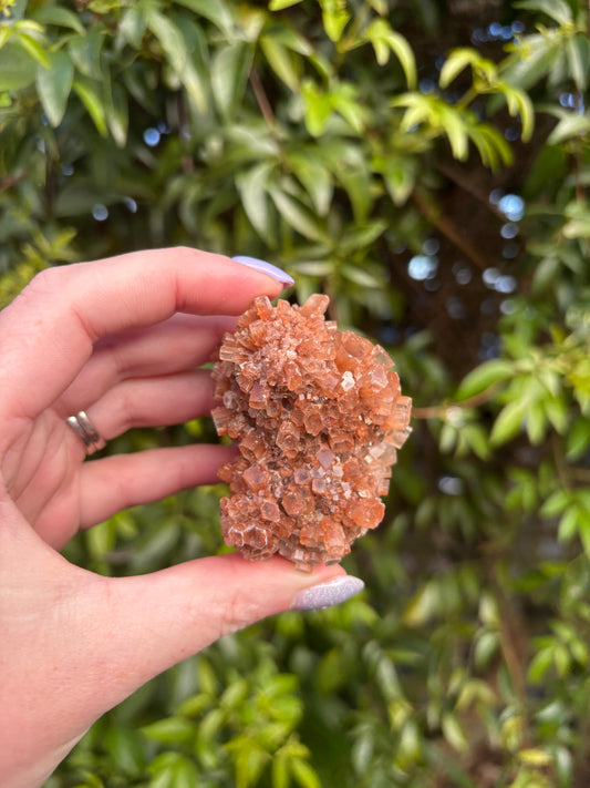 Aragonite Sputnik Cluster D