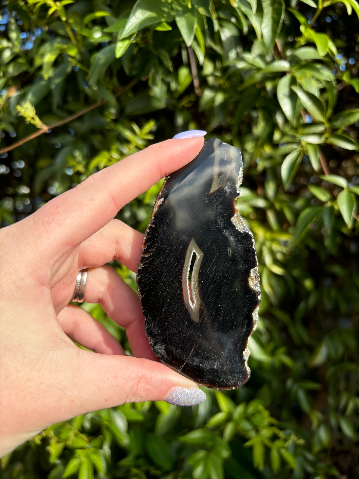 Agate Slice | Brown A