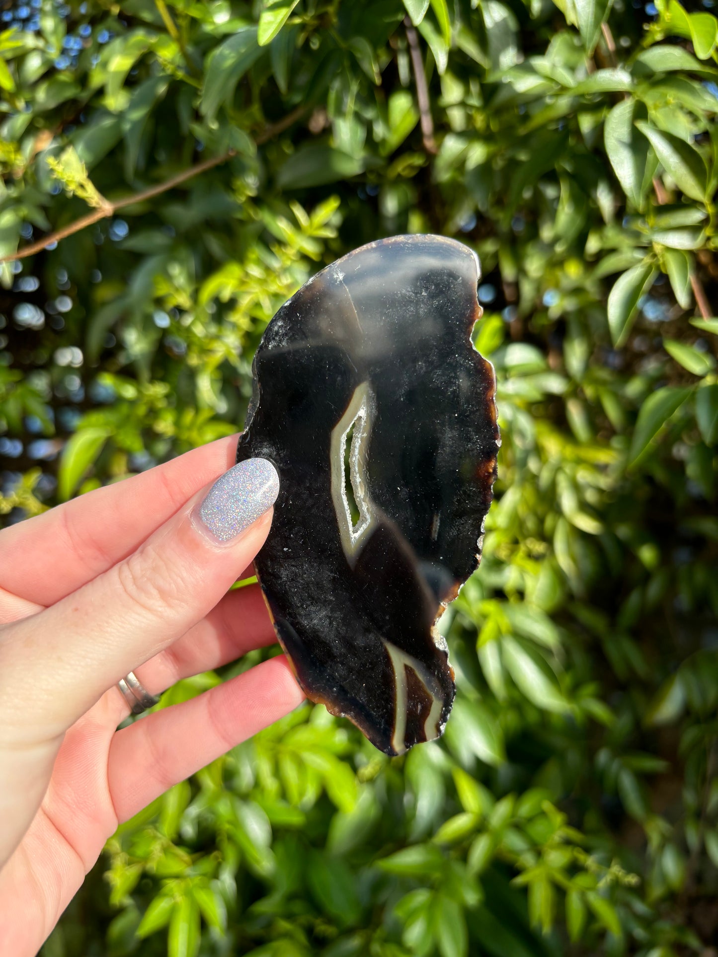 Agate Slice | Brown A