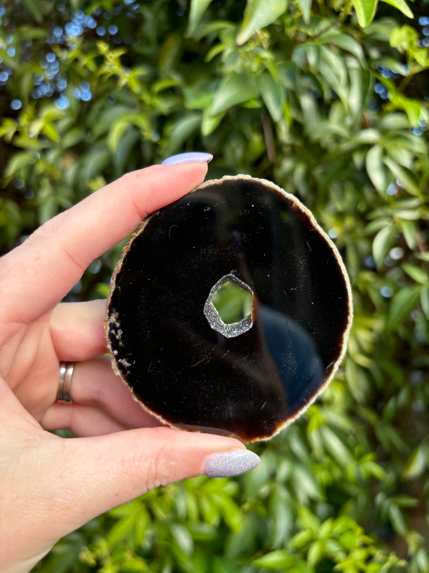 Agate Slice | Brown D