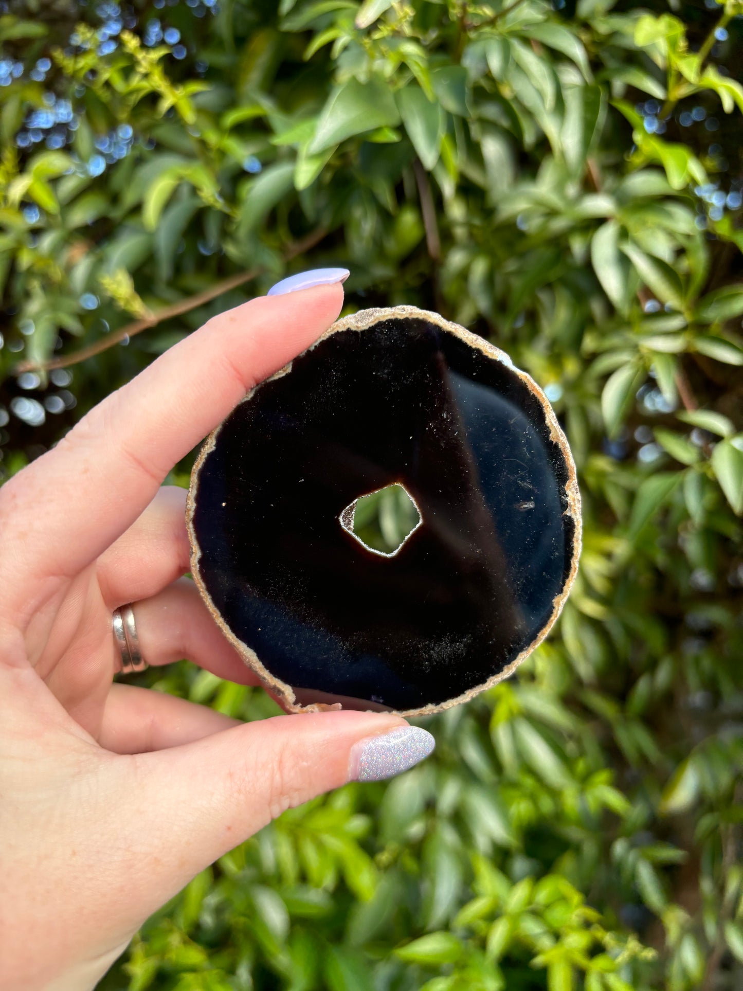 Agate Slice | Brown D