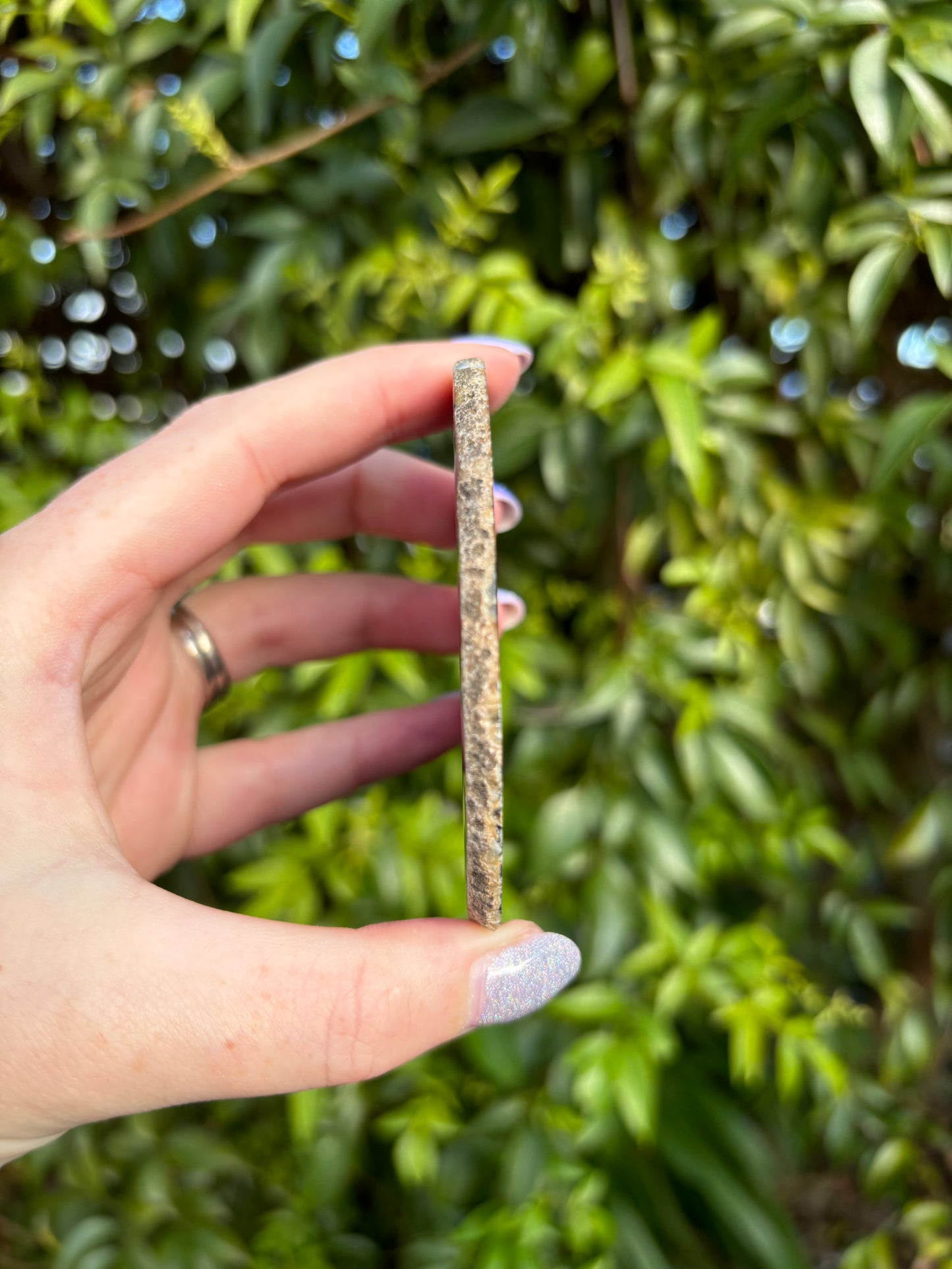 Agate Slice | Brown D