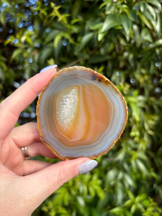 Agate Slice | Natural A