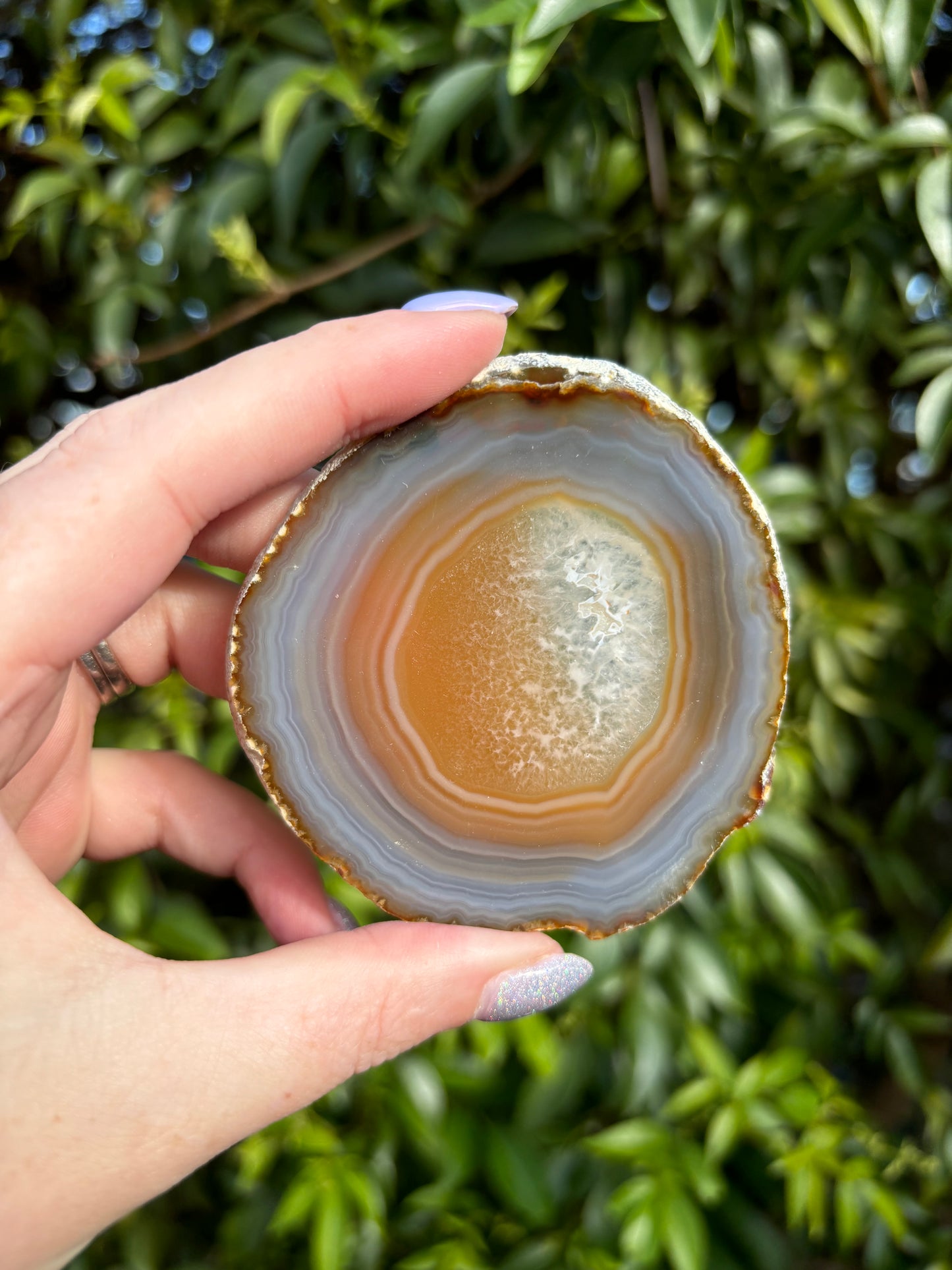 Agate Slice | Natural A