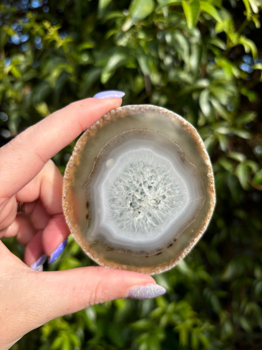 Agate Slice | Natural B