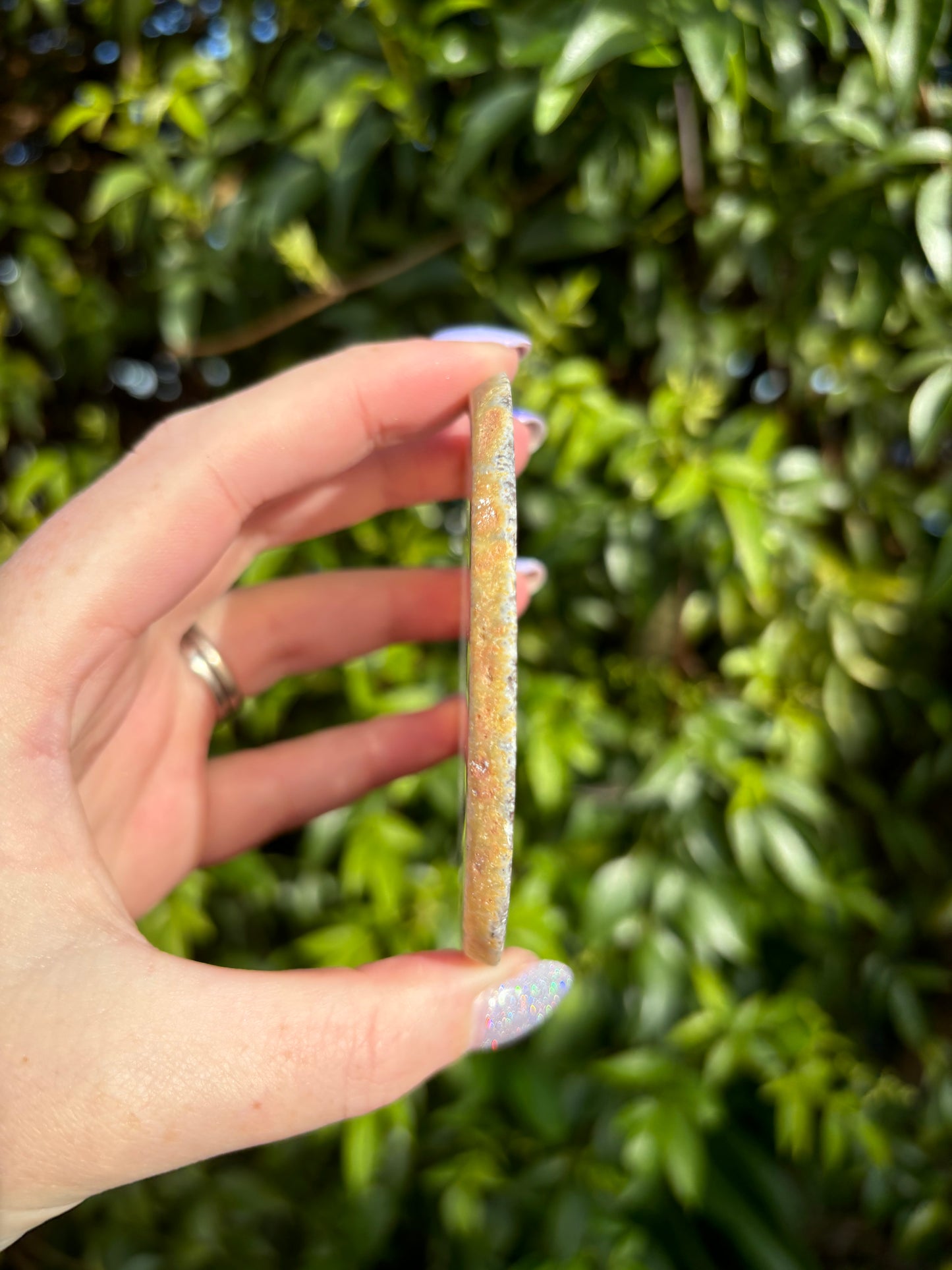 Agate Slice | Natural B