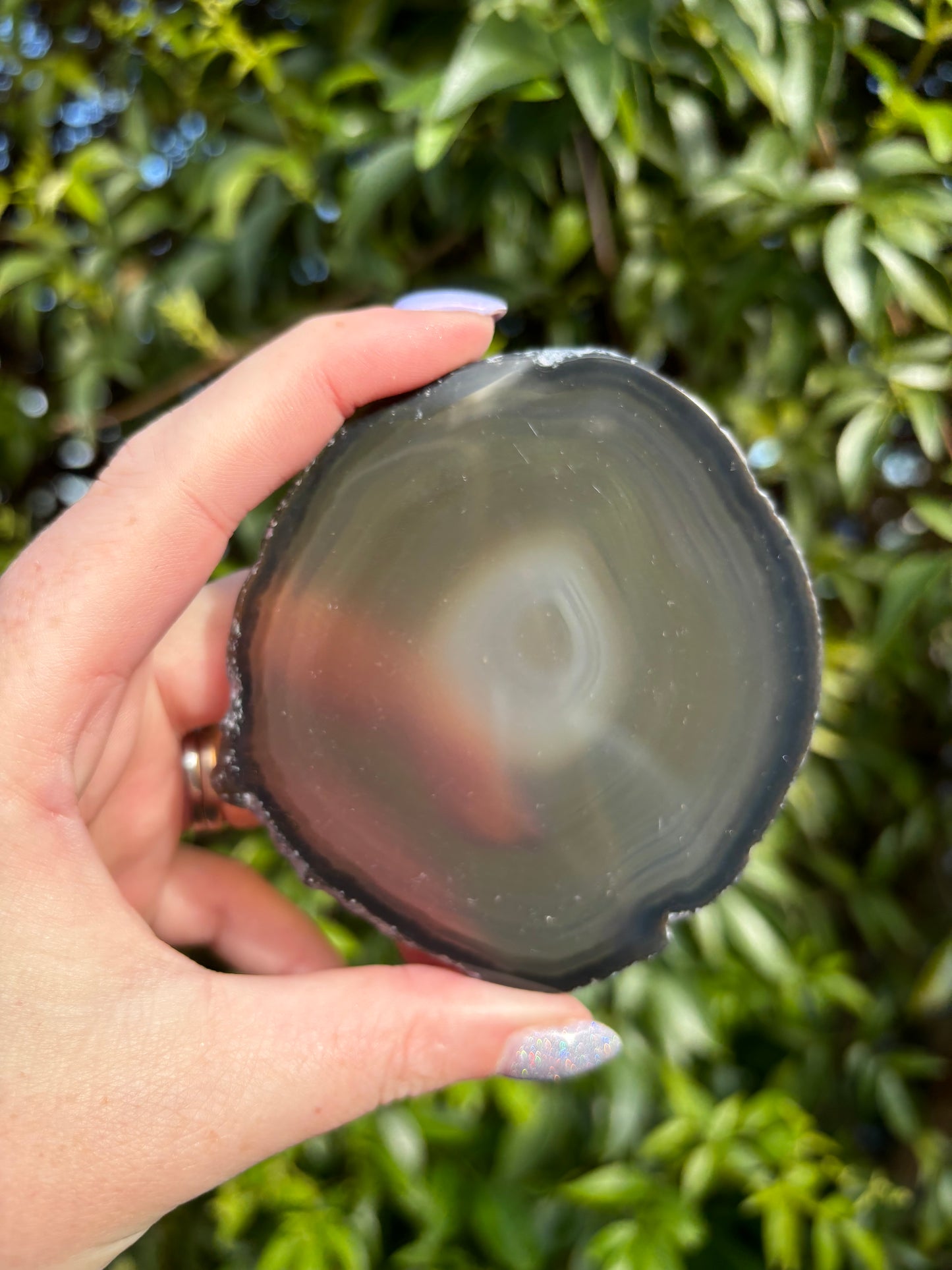 Agate Slice | Brown H